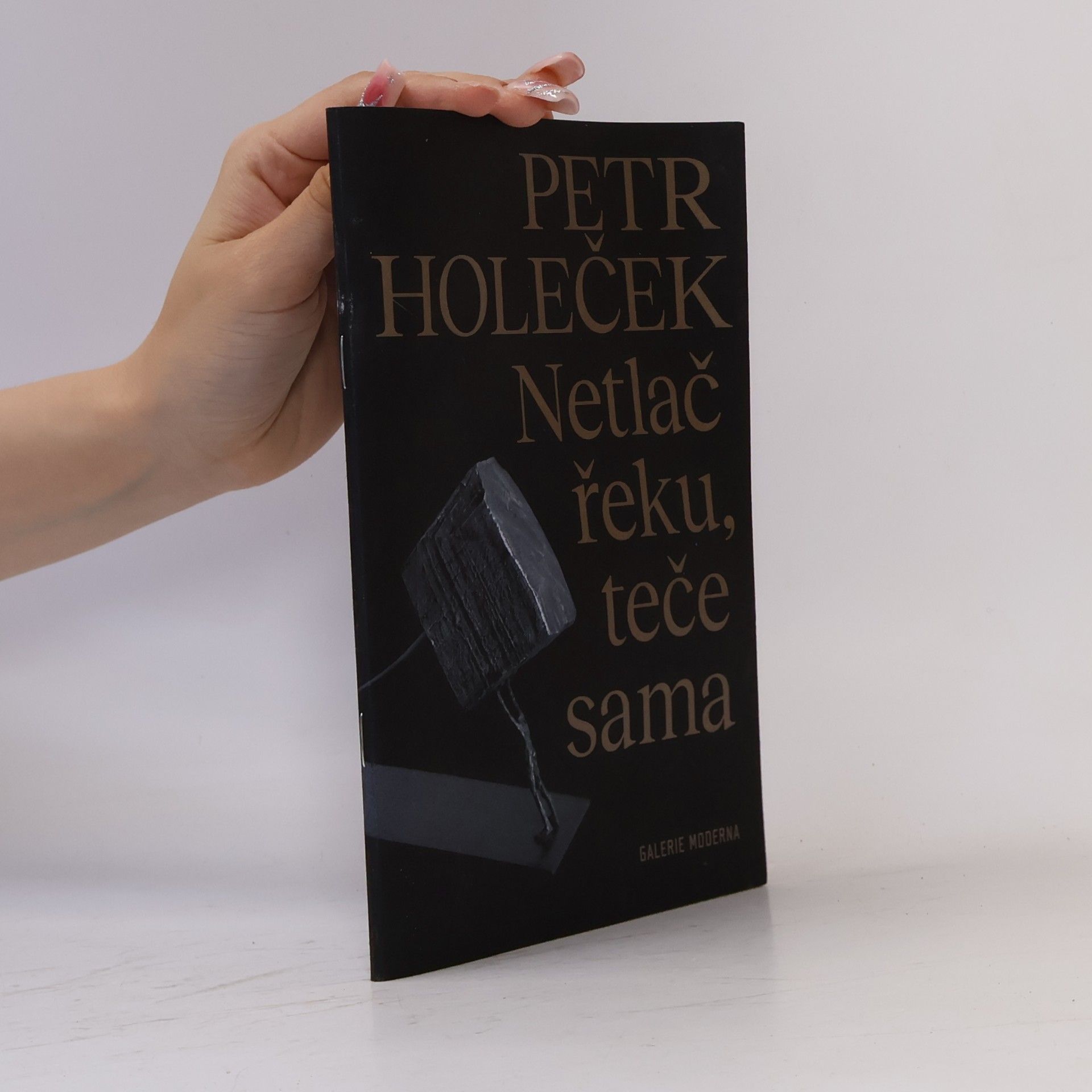 Petr Holeček Netlač řeku, teče sama