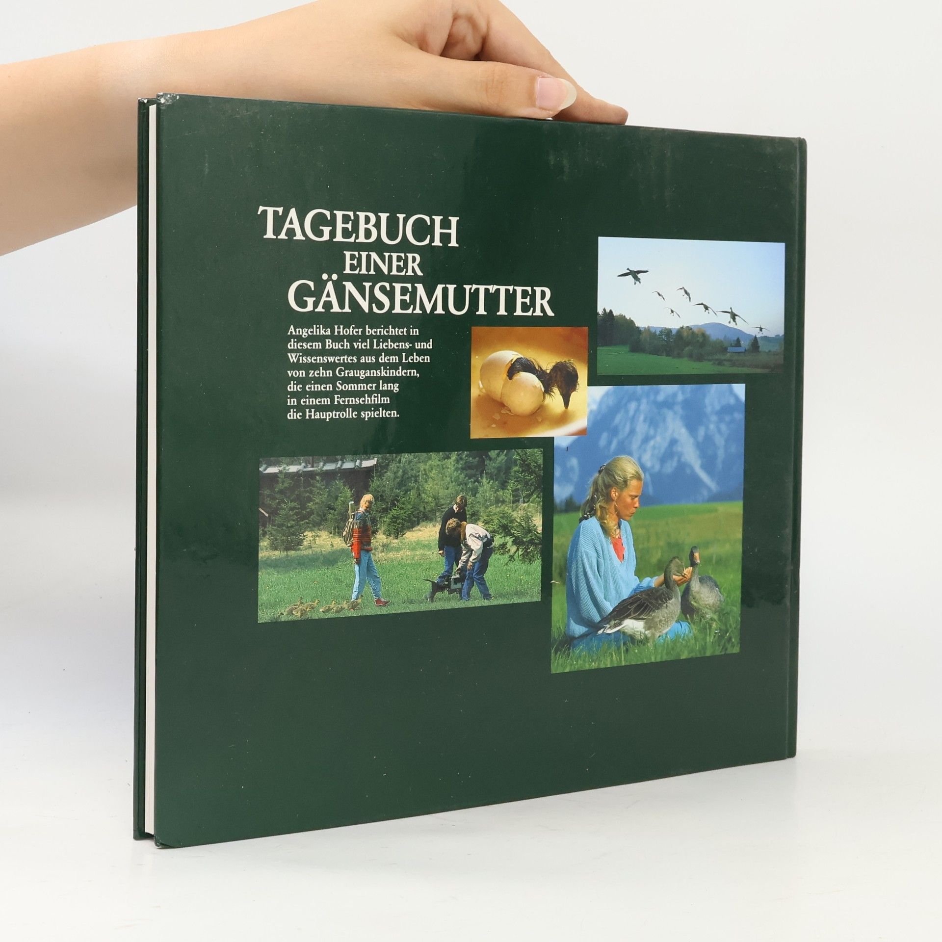 Angelika Höfer Tagebuch einer Gänsemutter