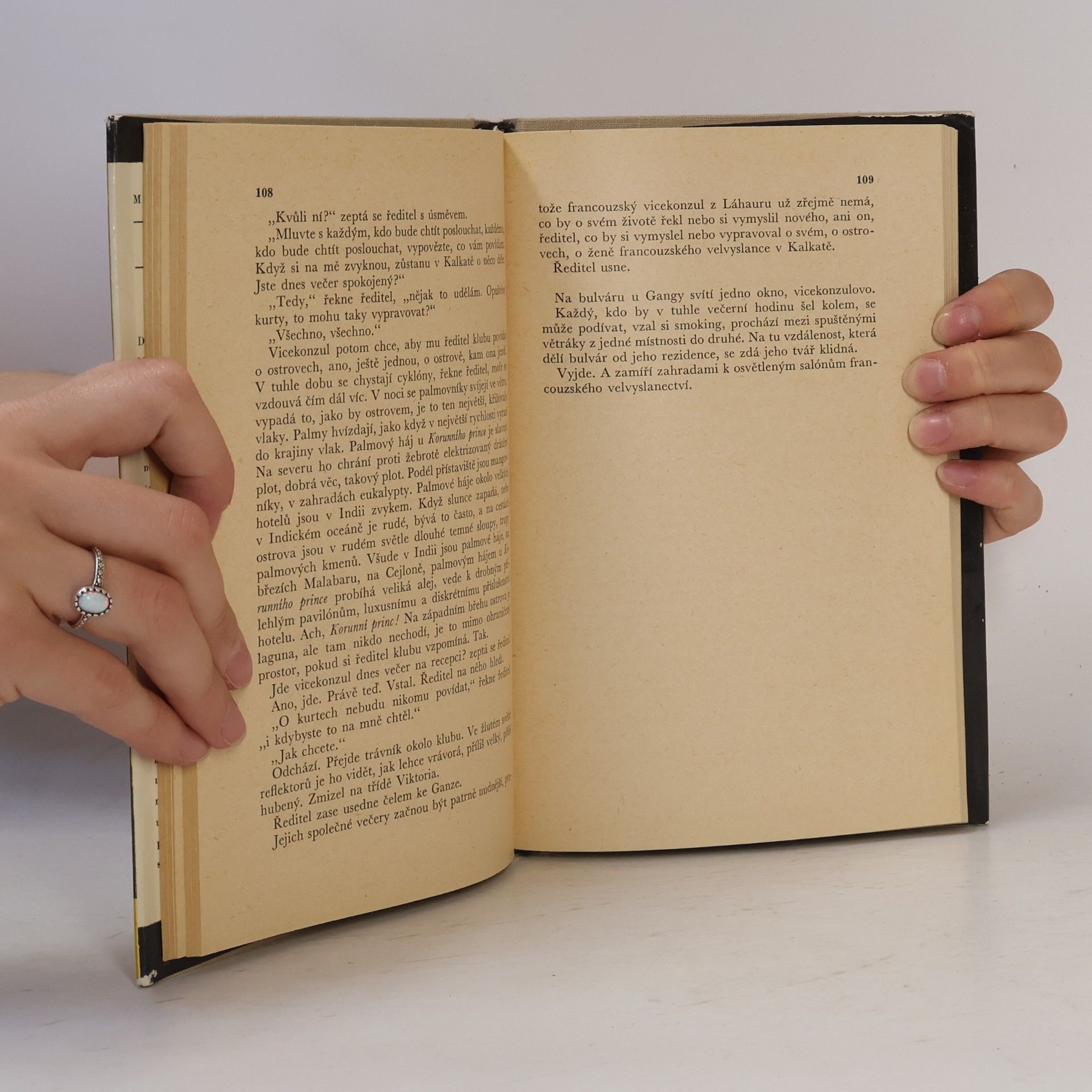 Marguerite Duras Moderato cantabile, Vicekonzul
