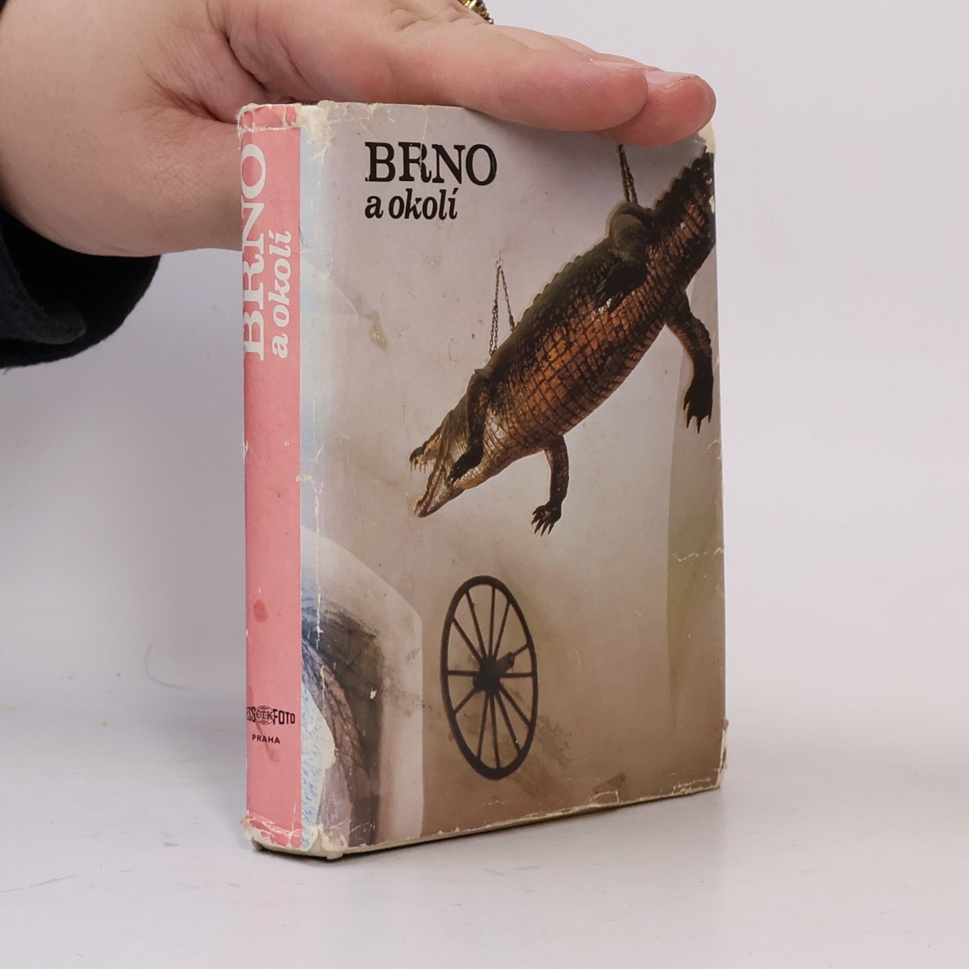 Dalibor Kusák Brno a okolí