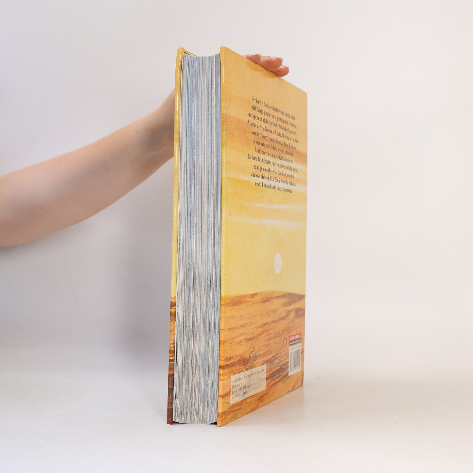 Collectif d'auteurs Dětská ilustrovaná bible