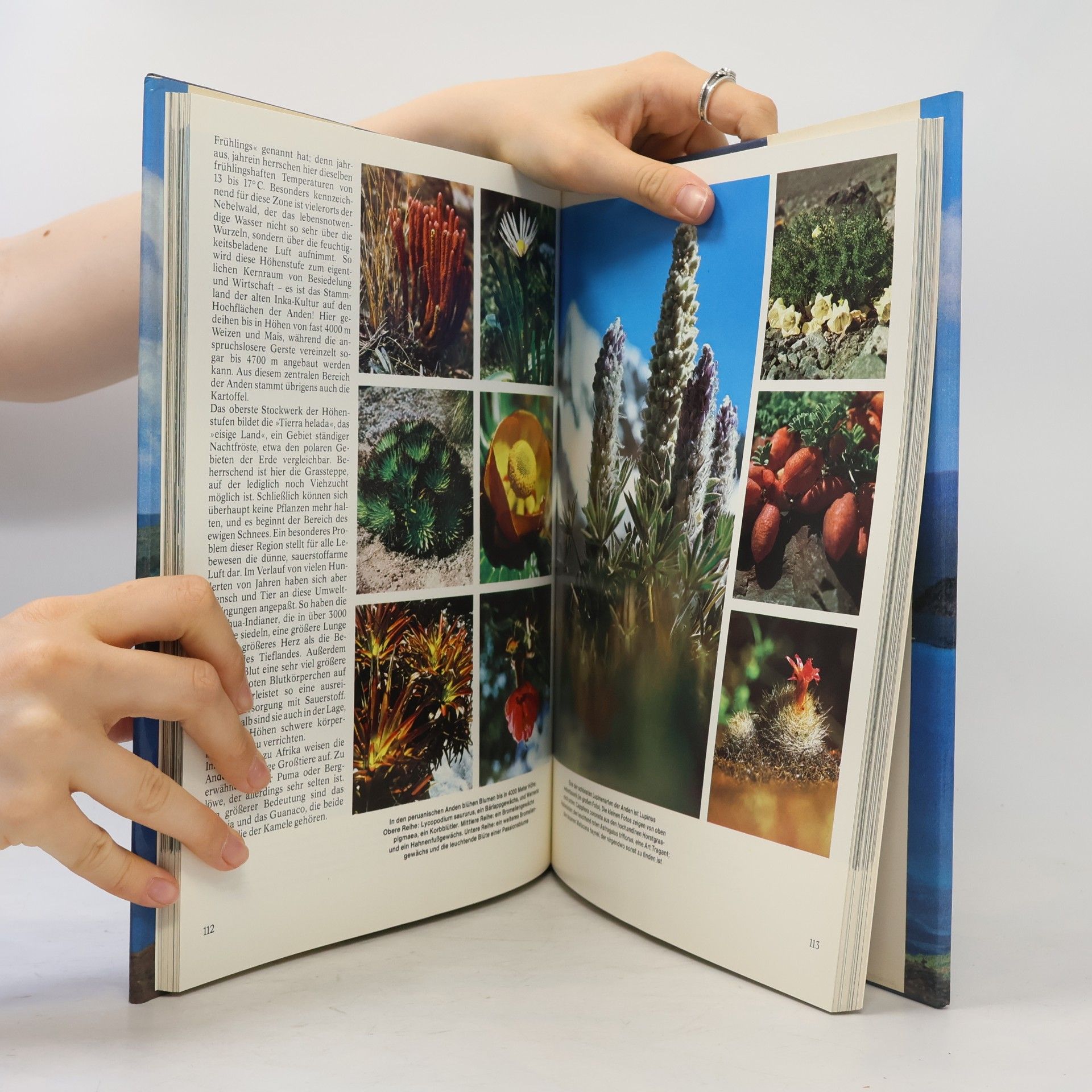 Claus J. Frank Weltwunder der Natur : mit 231 Farbfotos der besten Fotografen der Welt