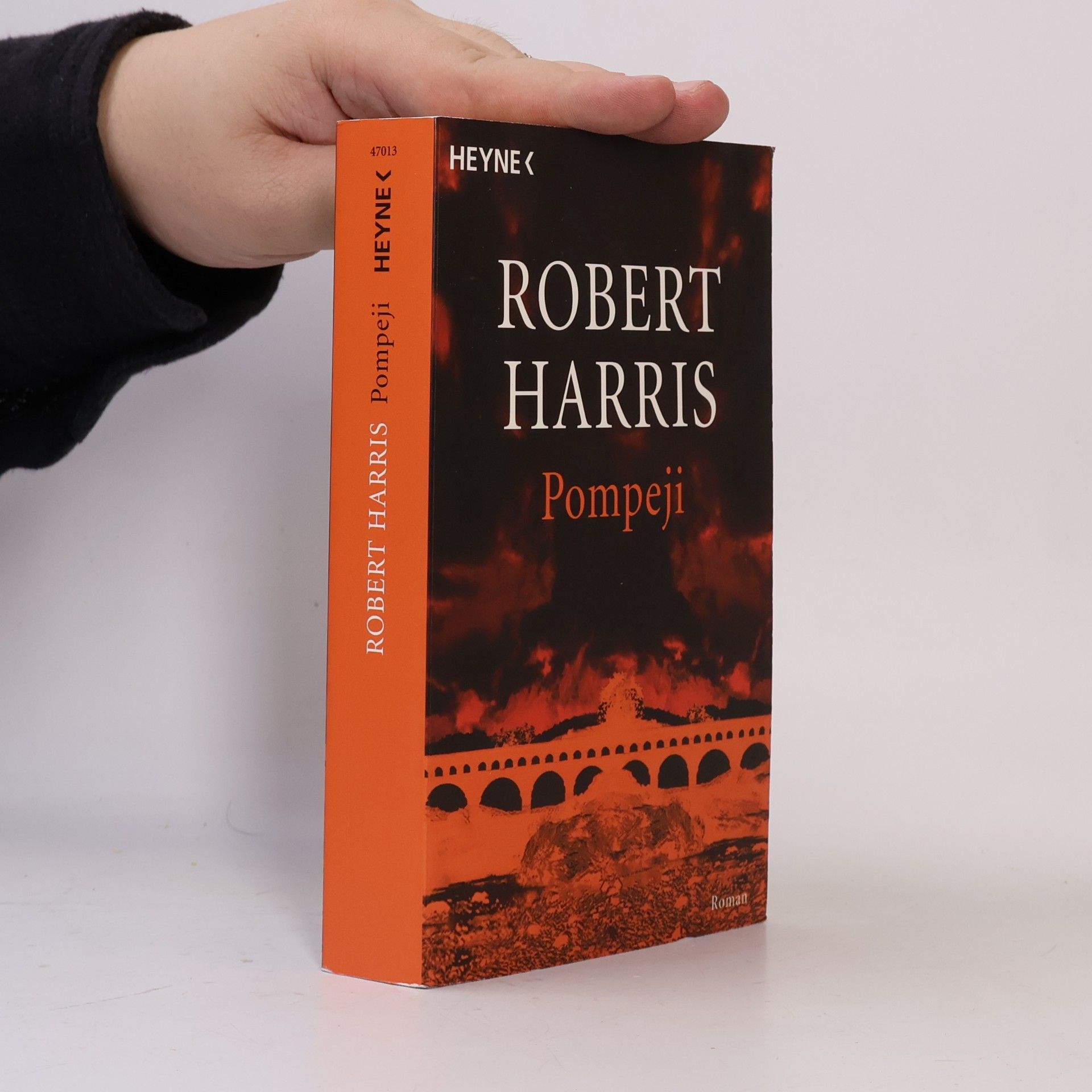 Robert Harris Pompeji