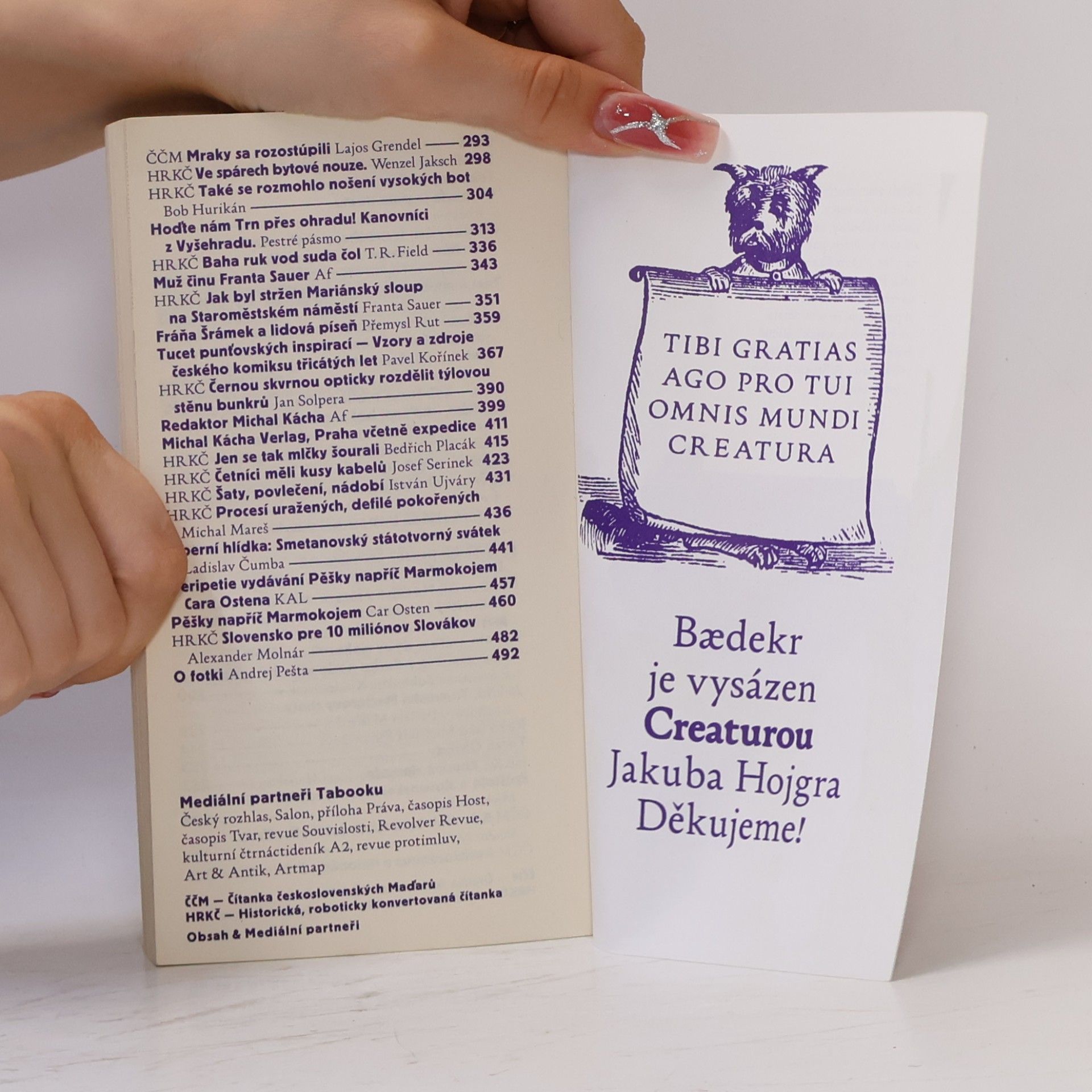 Kolektiv autorů Baedeker Tabook