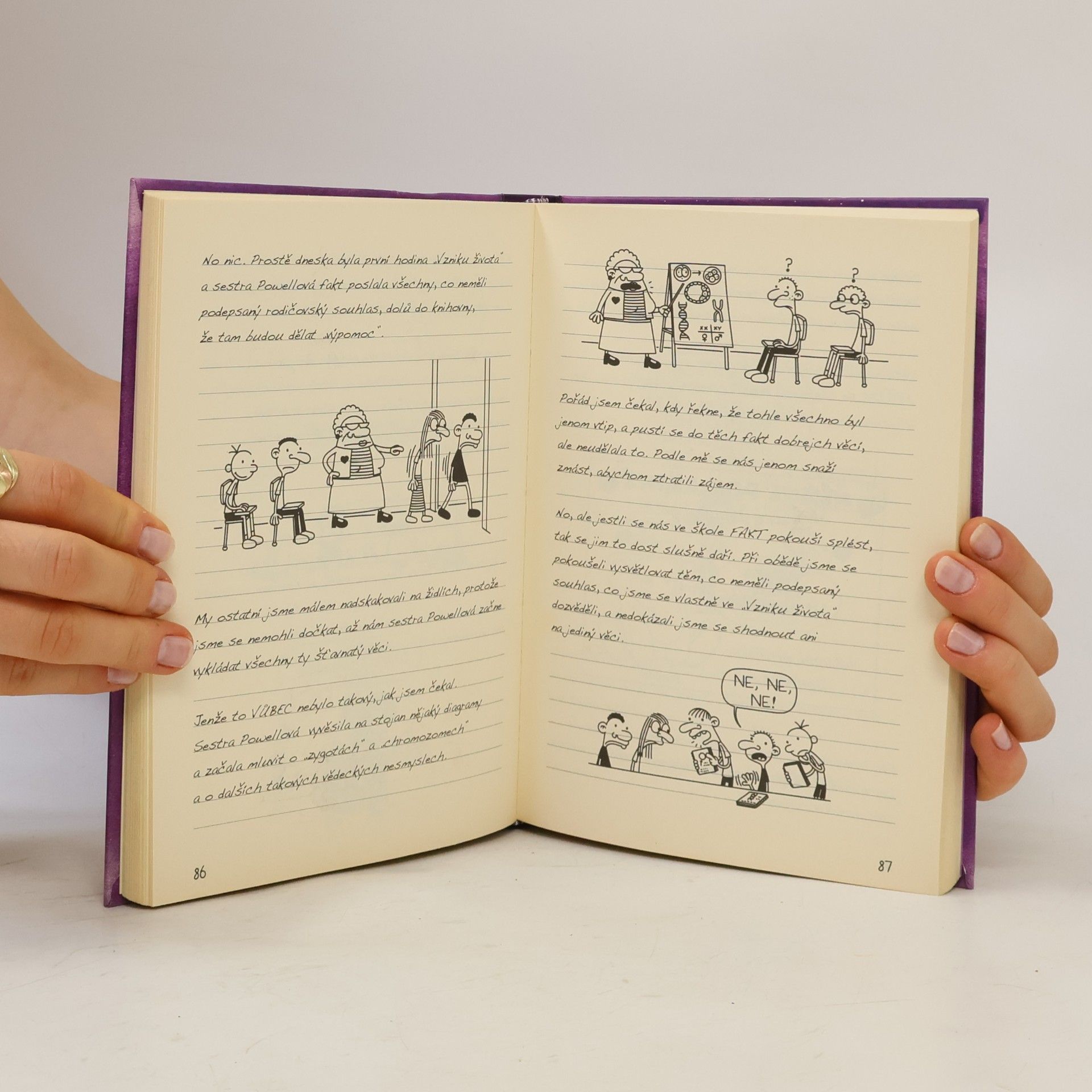 Jeff Kinney Deník malého poseroutky 5. Ošklivá pravda