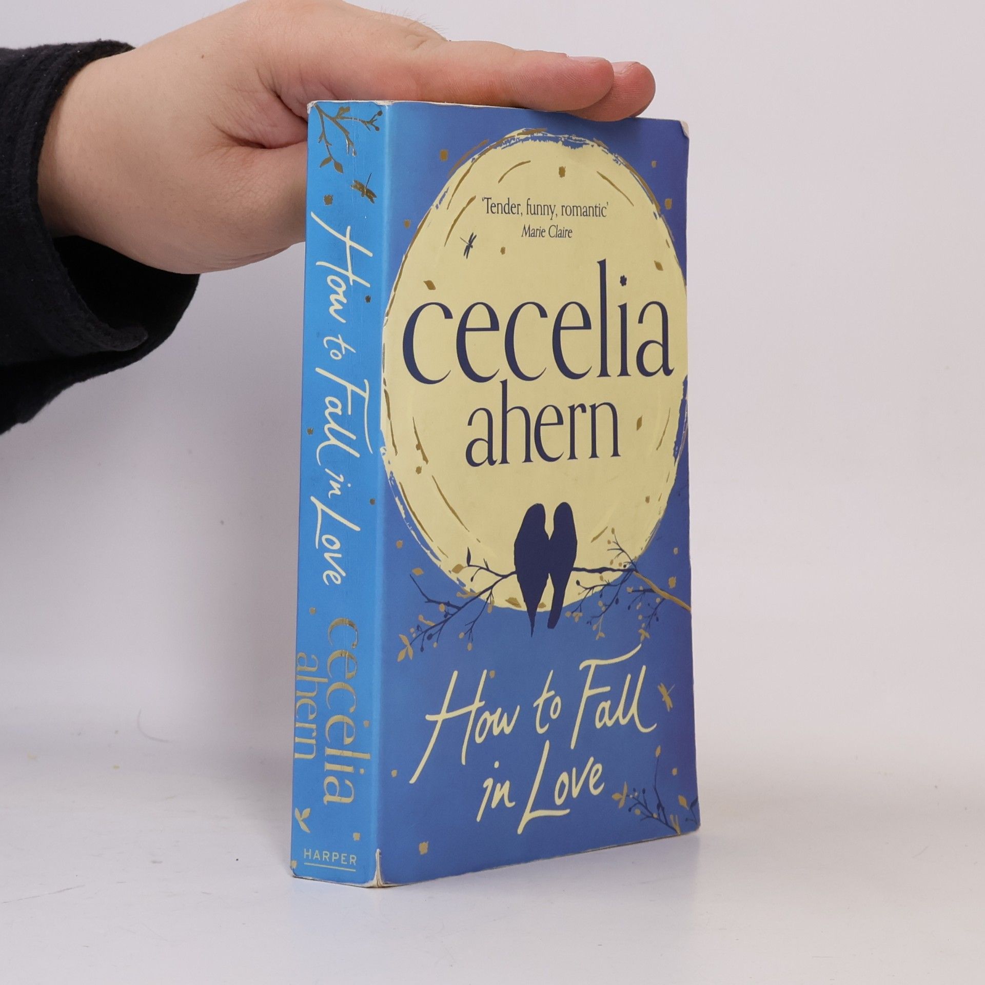 Cecelia Ahern How to Fall in Love