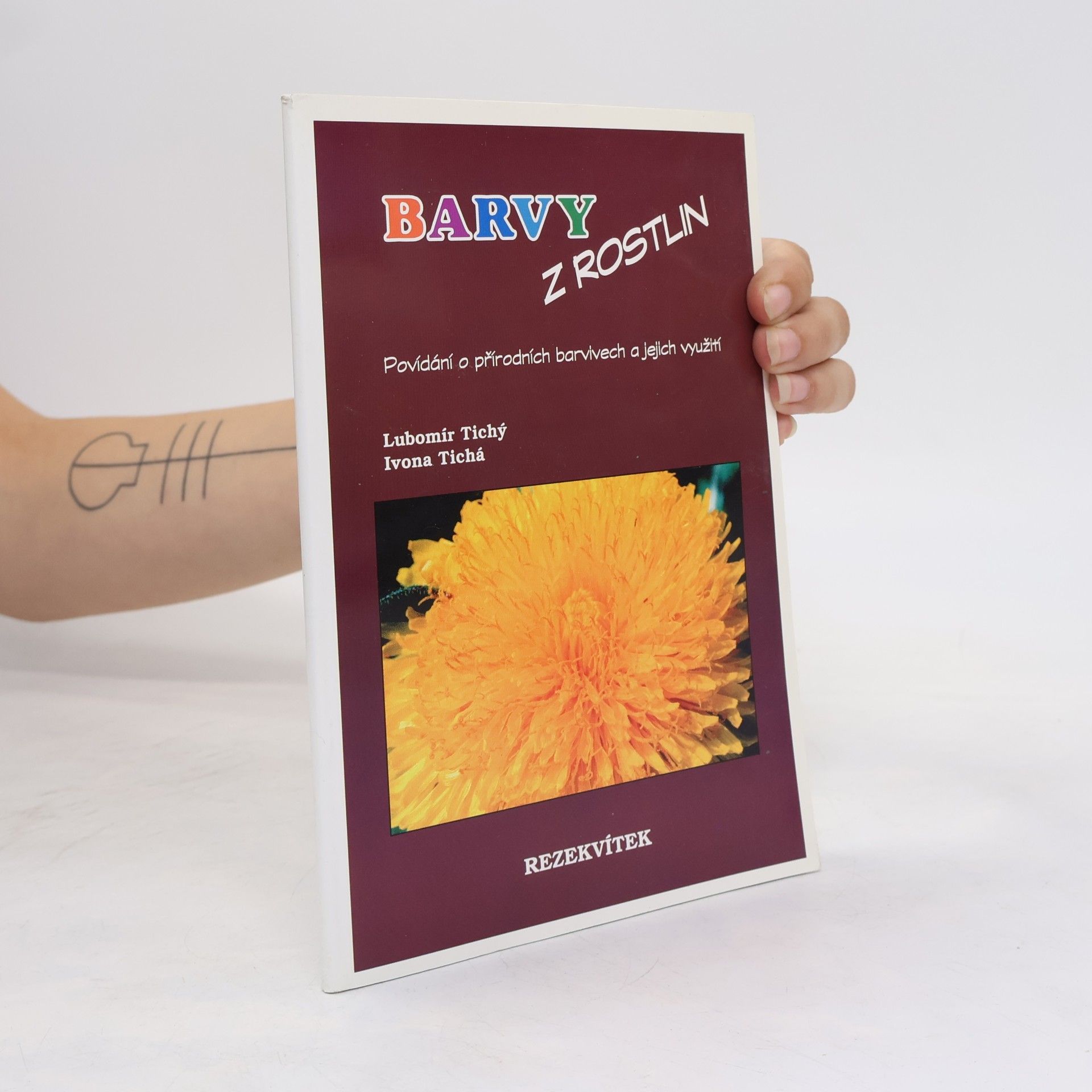 Barvy z rostlin