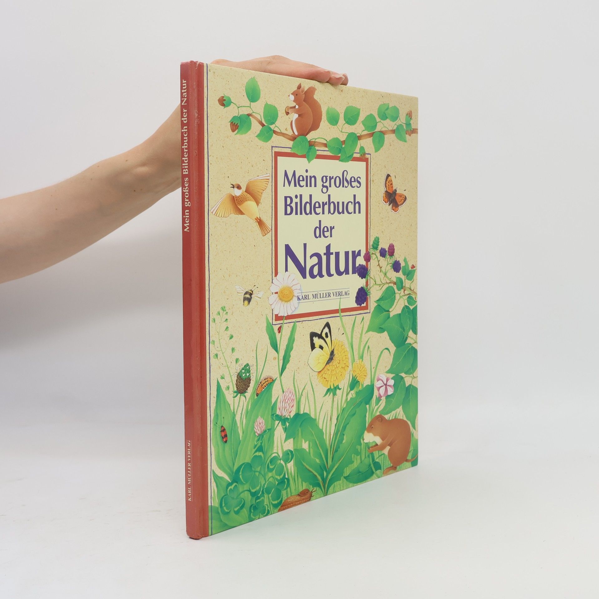 Yvette Barbetti Mein grosses Bilderbuch der Natur
