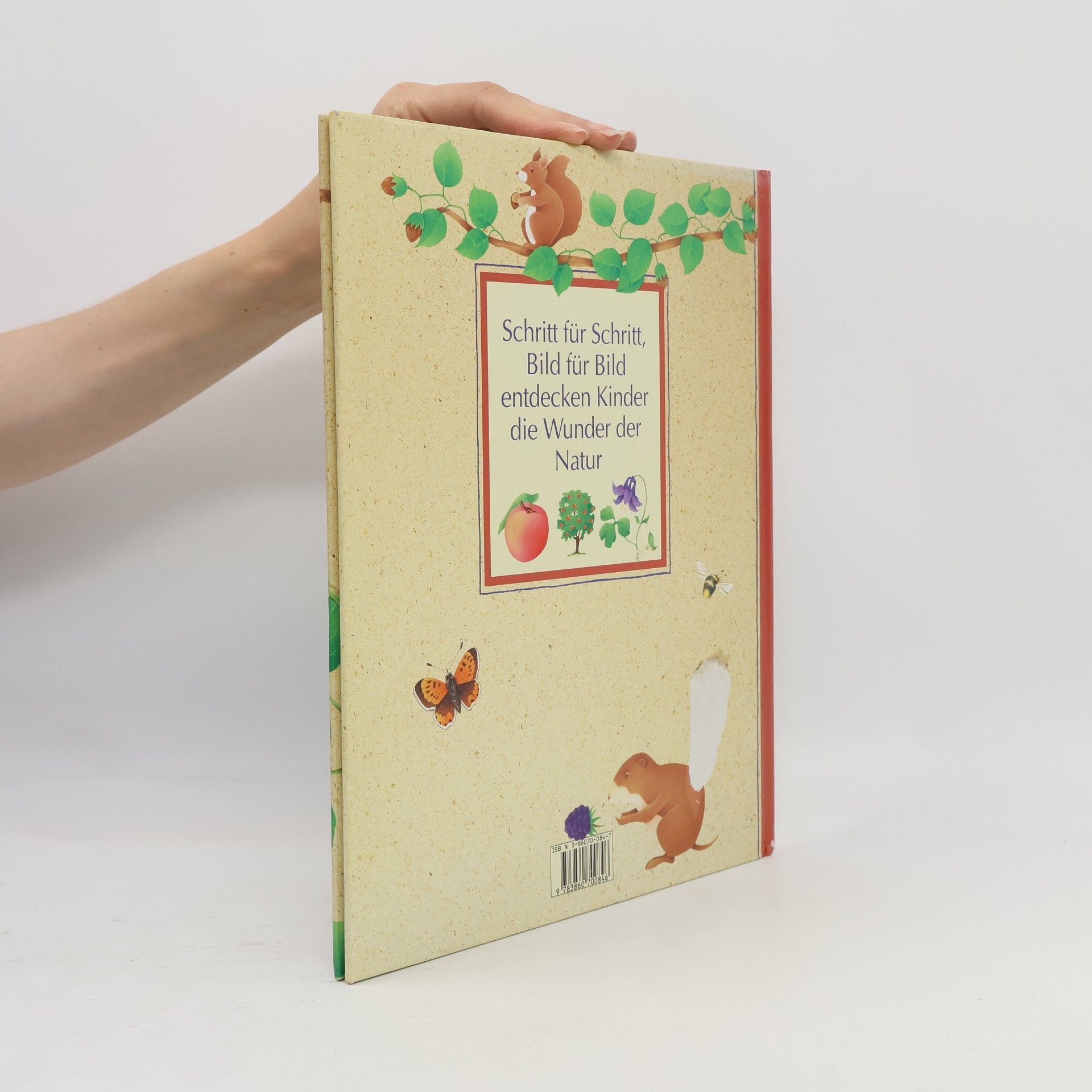 Yvette Barbetti Mein grosses Bilderbuch der Natur