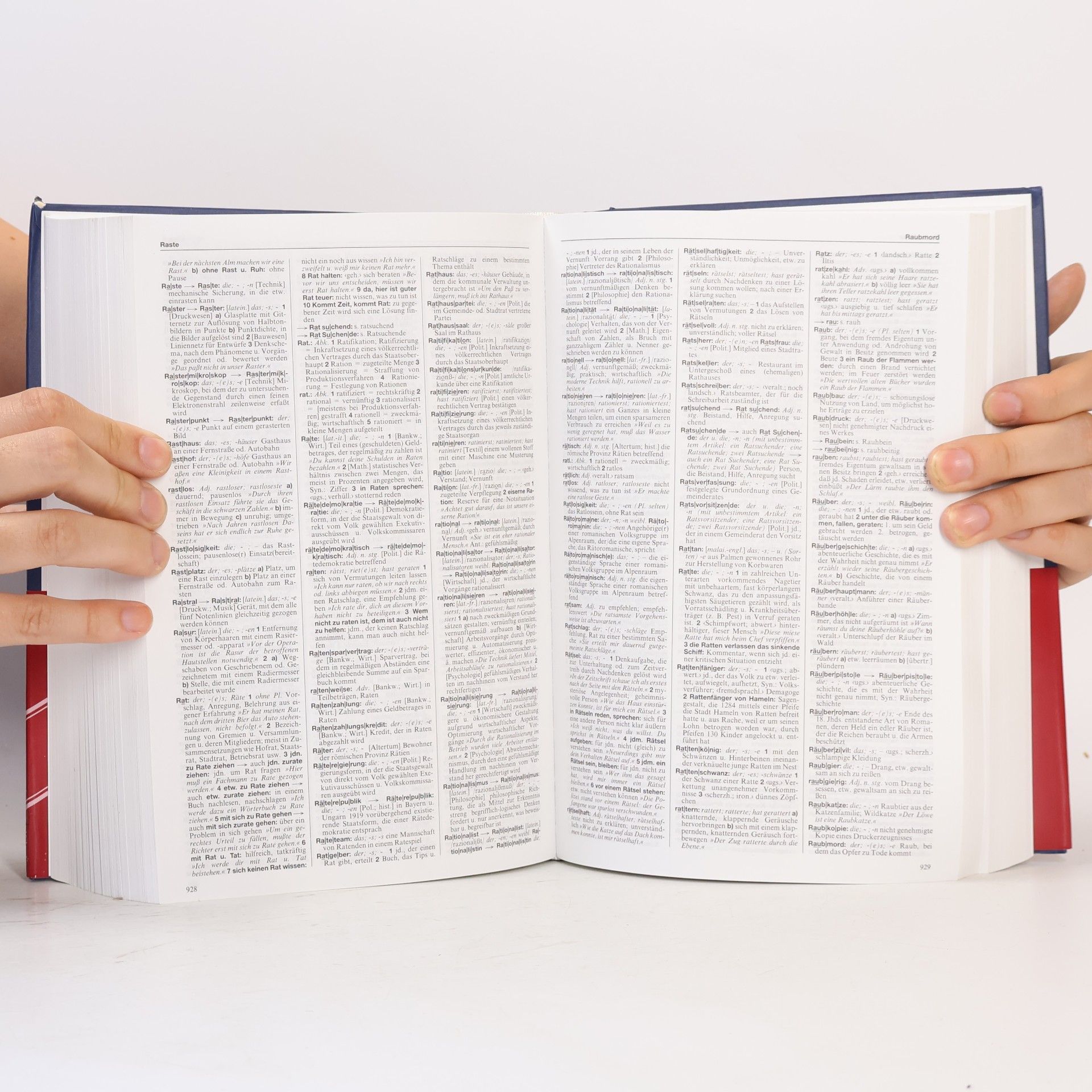 Karl-Dieter Bünting Deutsches Wörterbuch