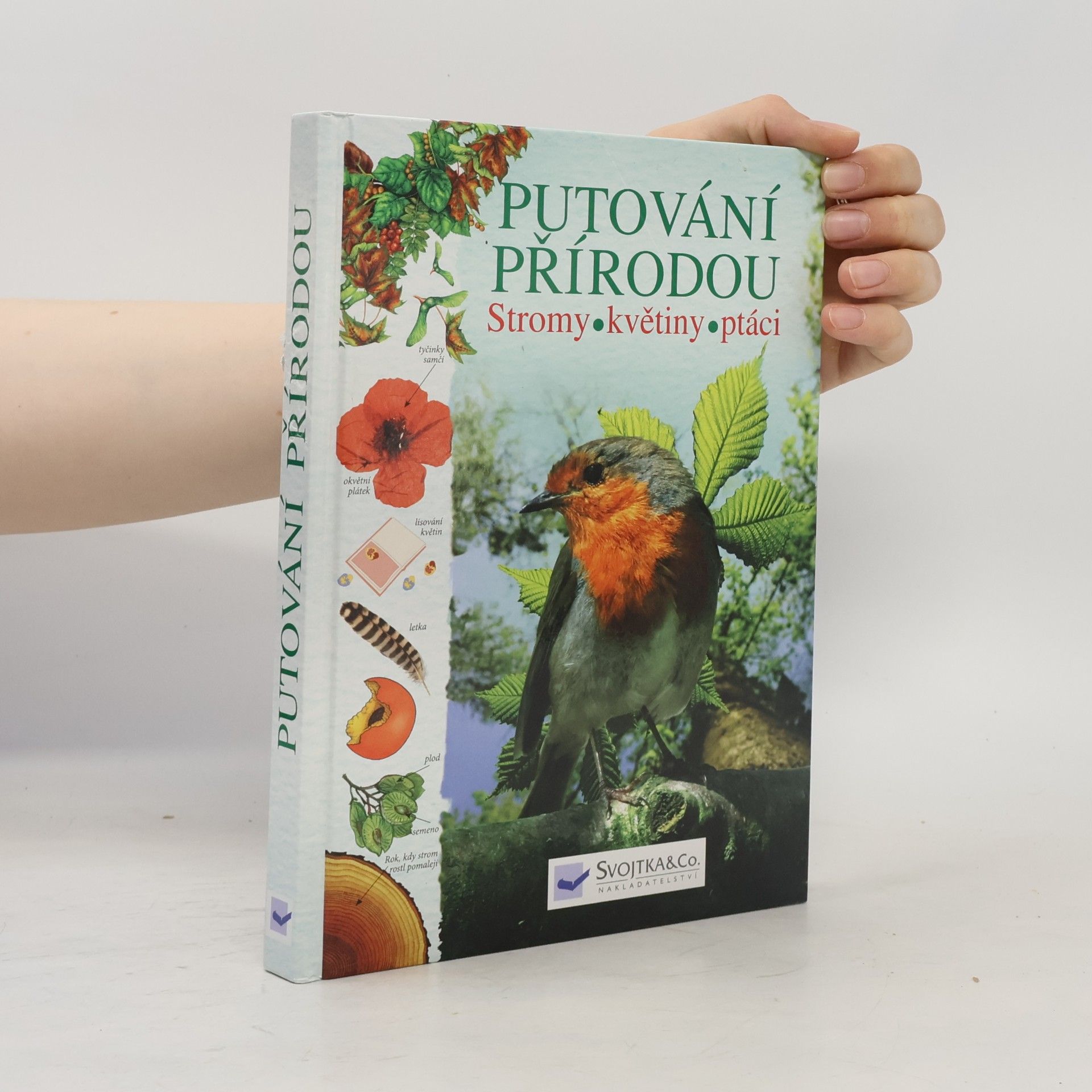 Autorenkollektiv Putování přírodou: Stromy, květiny, ptáci