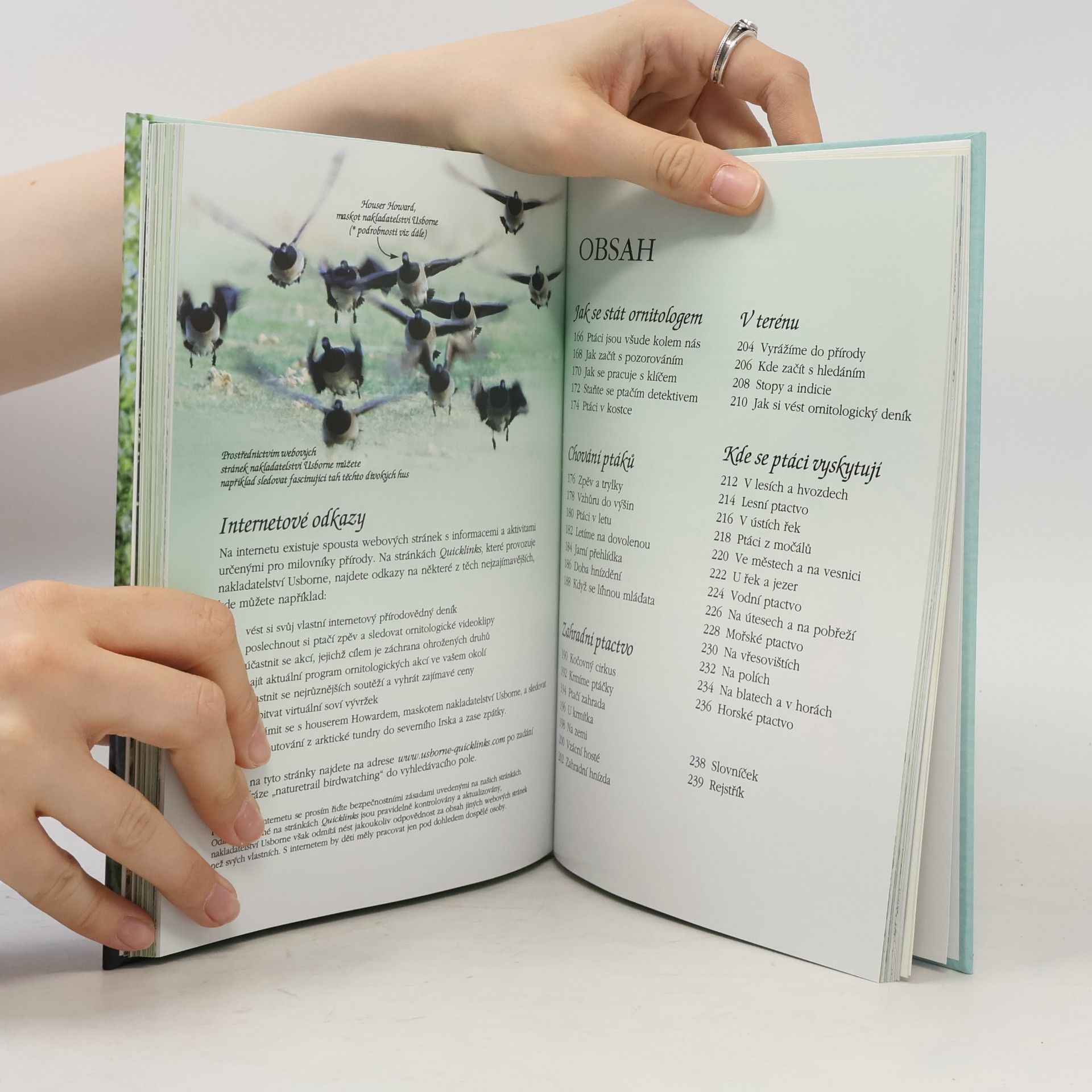 Autorenkollektiv Putování přírodou: Stromy, květiny, ptáci