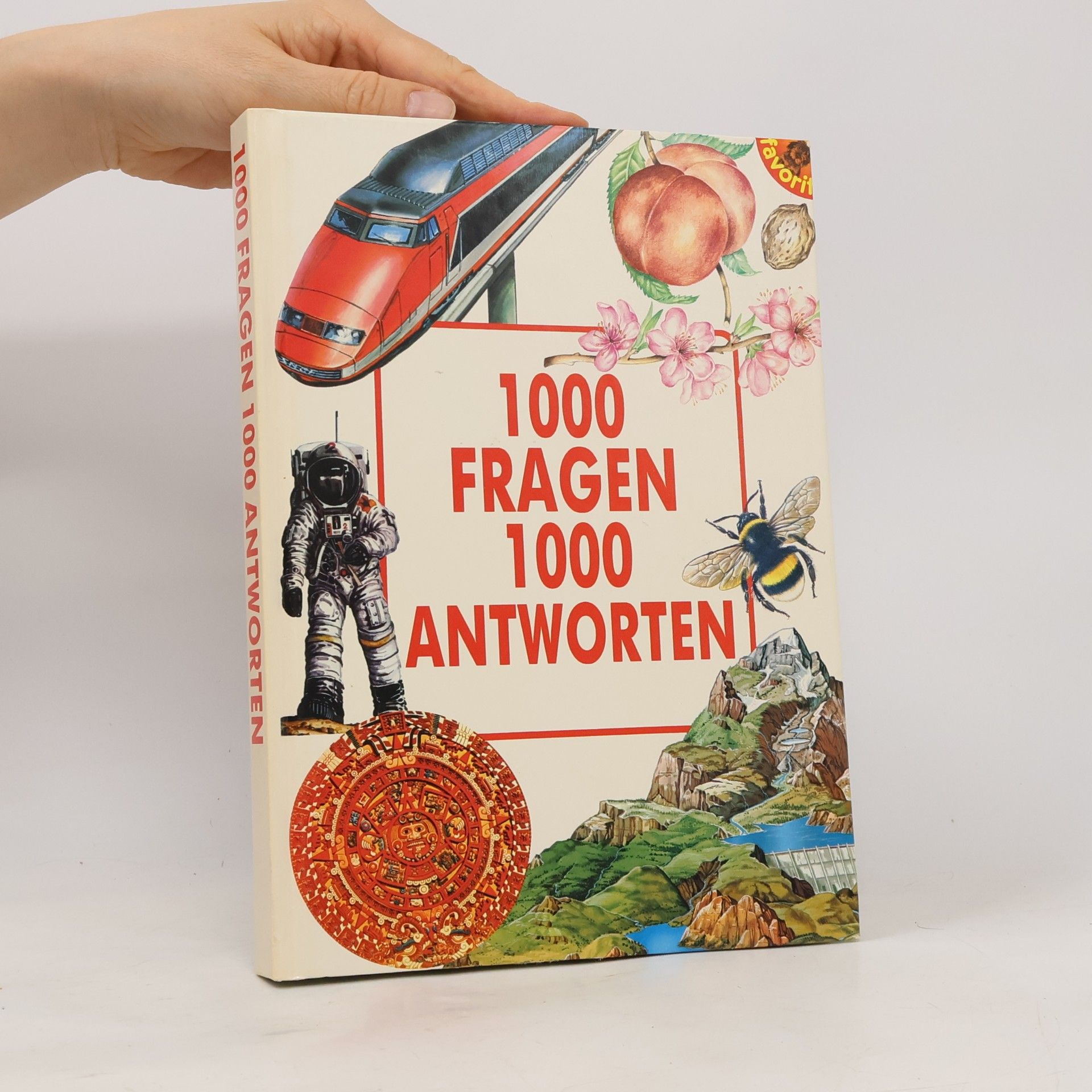 Laura Casnici 1000 Fragen, 1000 Antworten