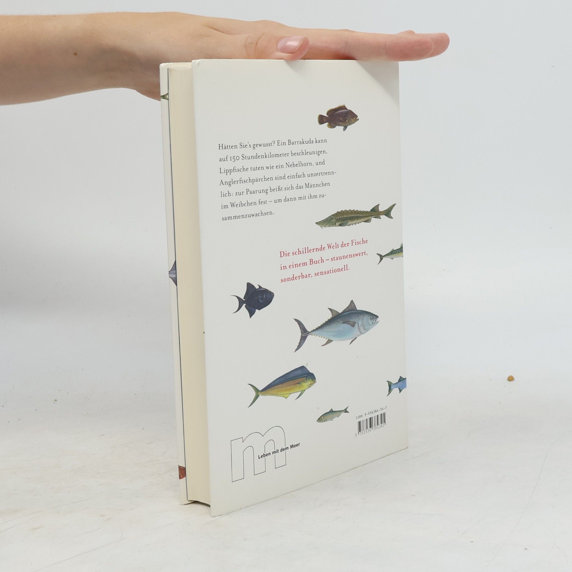 Birgit Pelzer Reith Sex & Lachs & Kabeljau