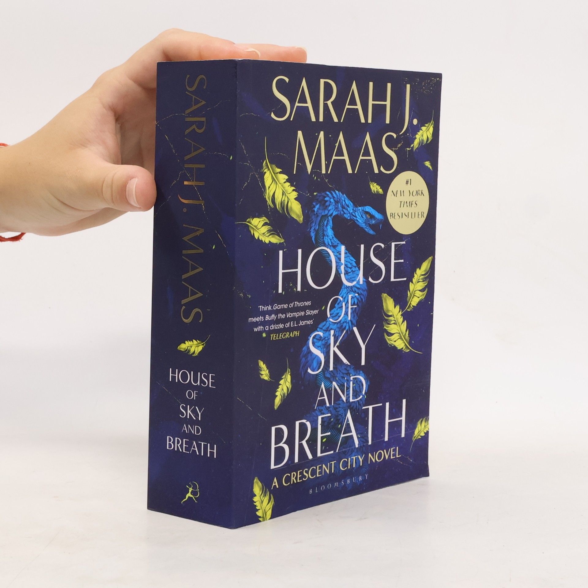 Sarah J. Maas House of Sky and Breath
