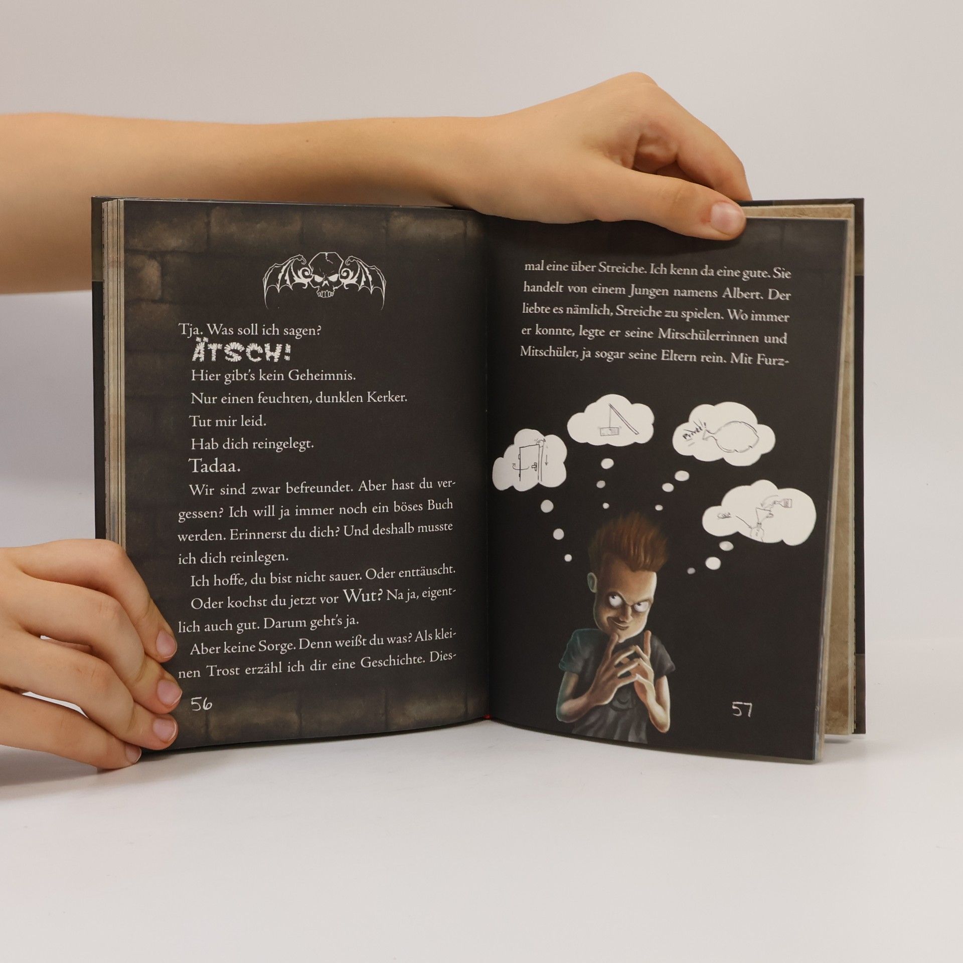 Magnnus Myst Das kleine Böse Buch