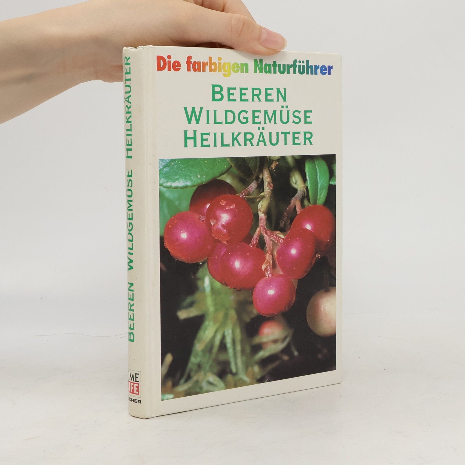 Kolektiv autorů Beeren, Wildgemüse, Heilkräuter