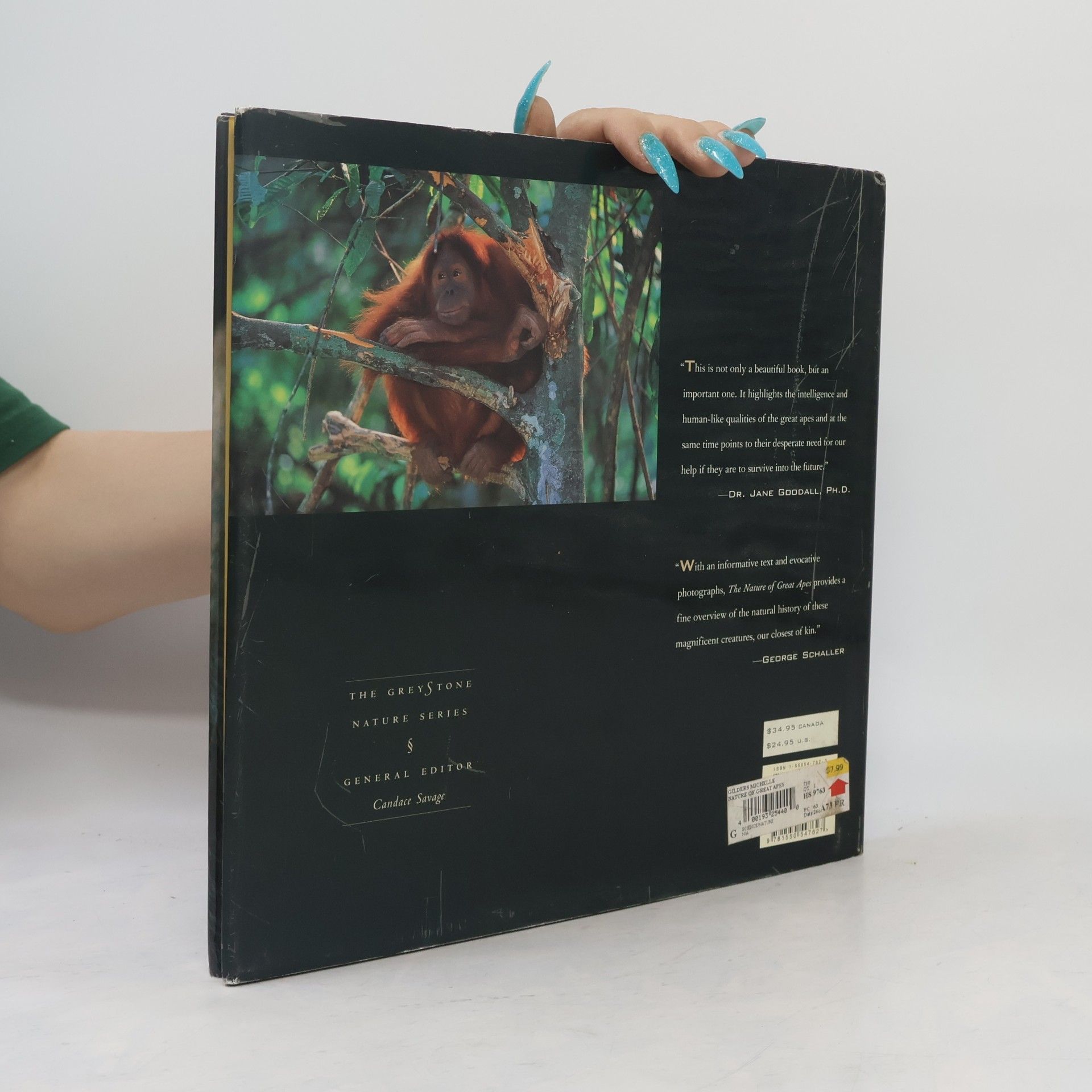 Michelle A. Gilders The Nature of Great Apes