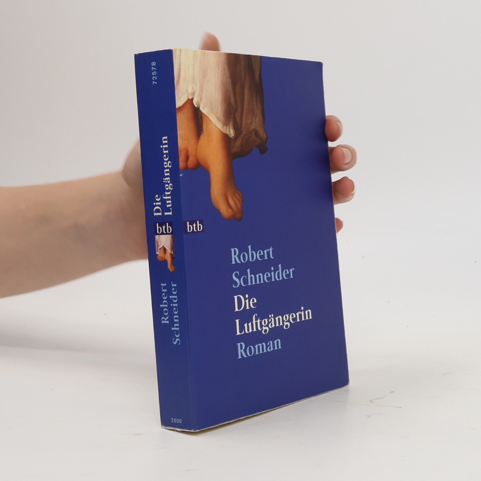 Robert Schneider Die Luftgängerin