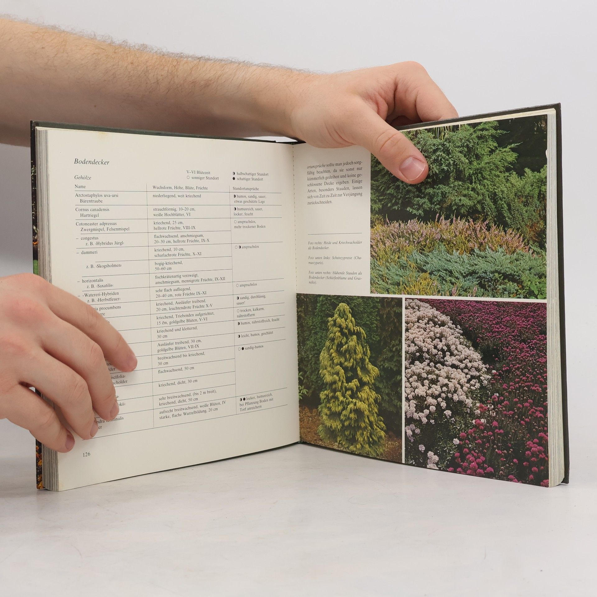 Rolf Bacher Das neue große farbige Gartenbuch