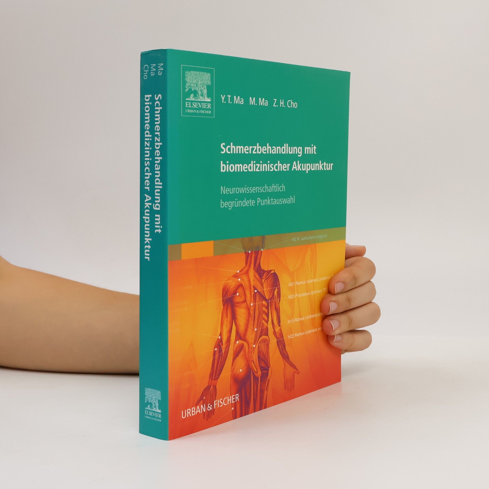 Yun-tao Ma Schmerzbehandlung mit biomedizinischer Akupunktur