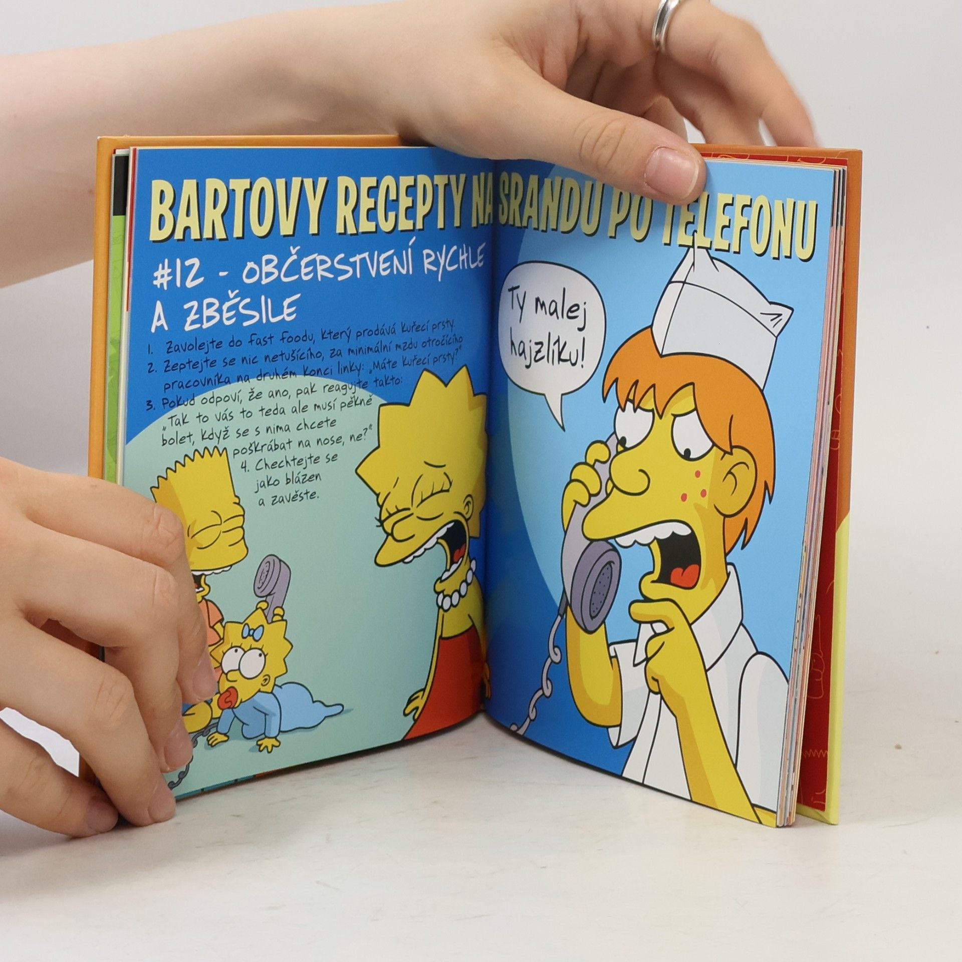 Matt Groening Bartova kniha