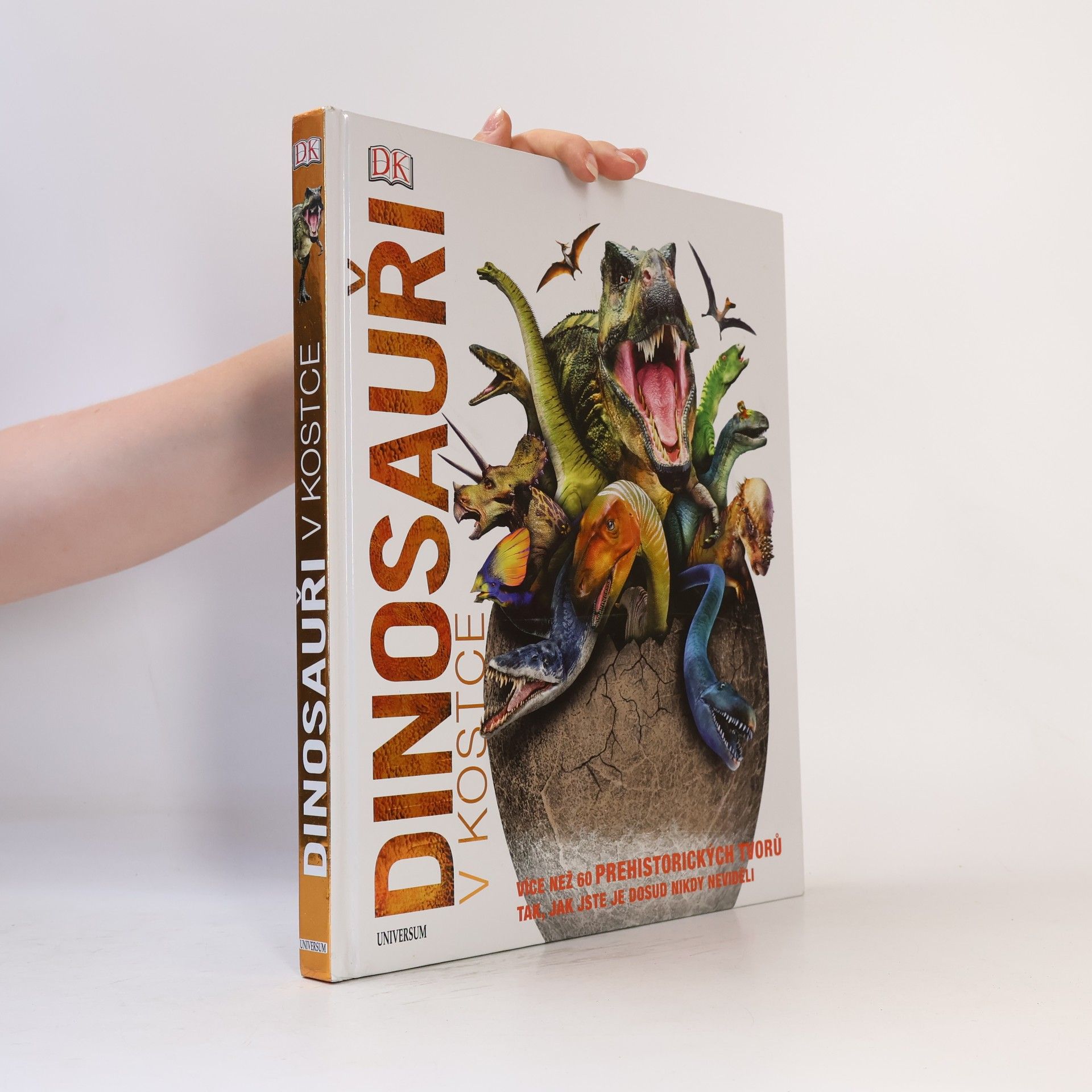 Kolektiv autorů Dinosauři v kostce