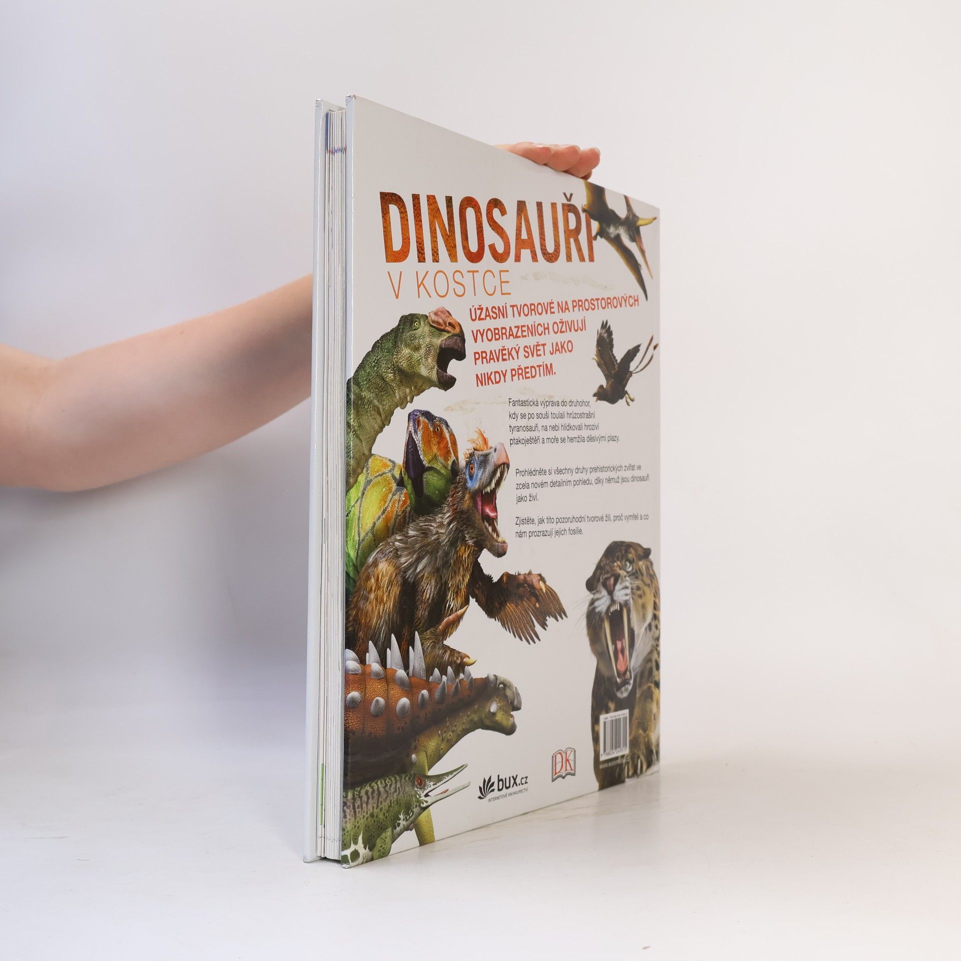 Kolektiv autorů Dinosauři v kostce