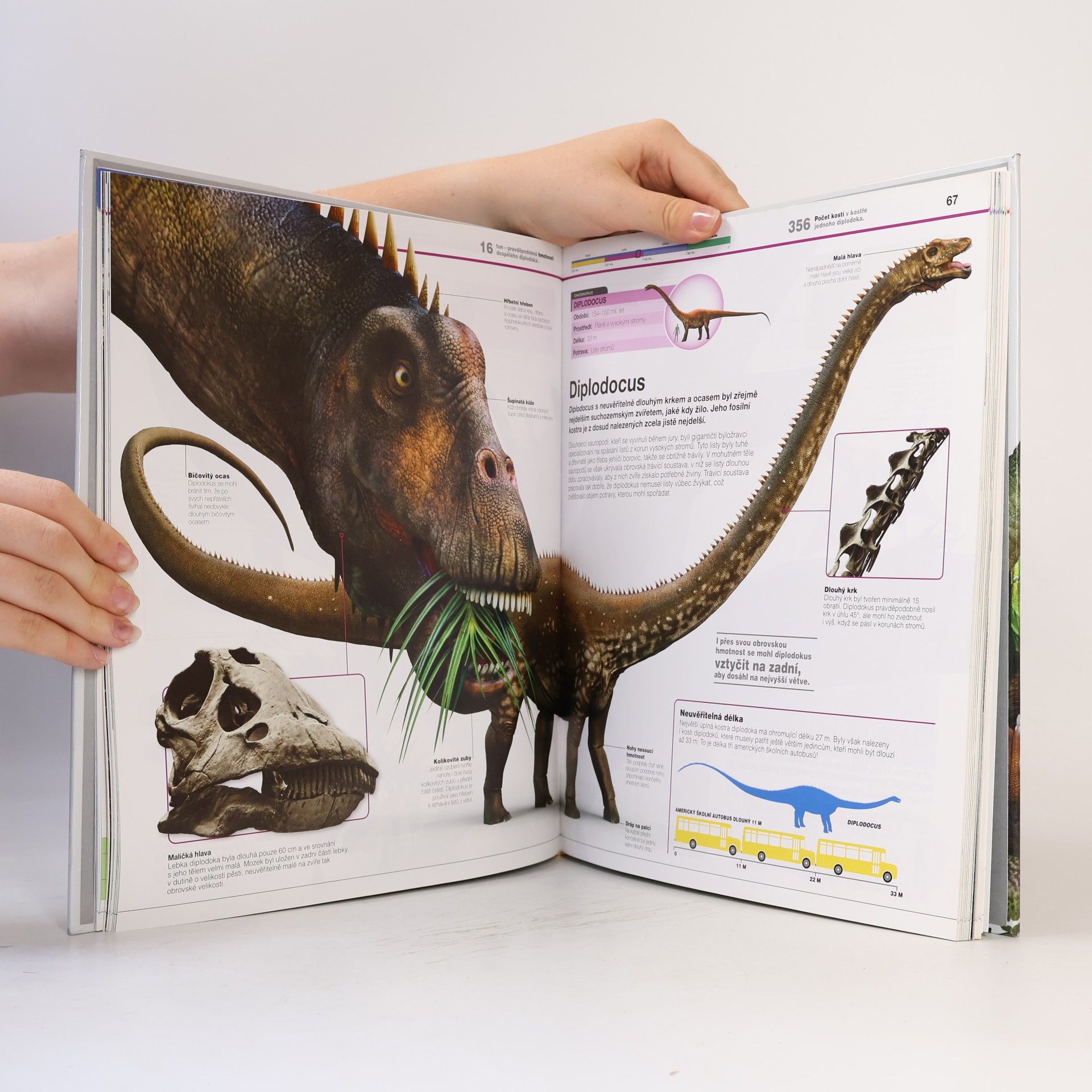 Kolektiv autorů Dinosauři v kostce