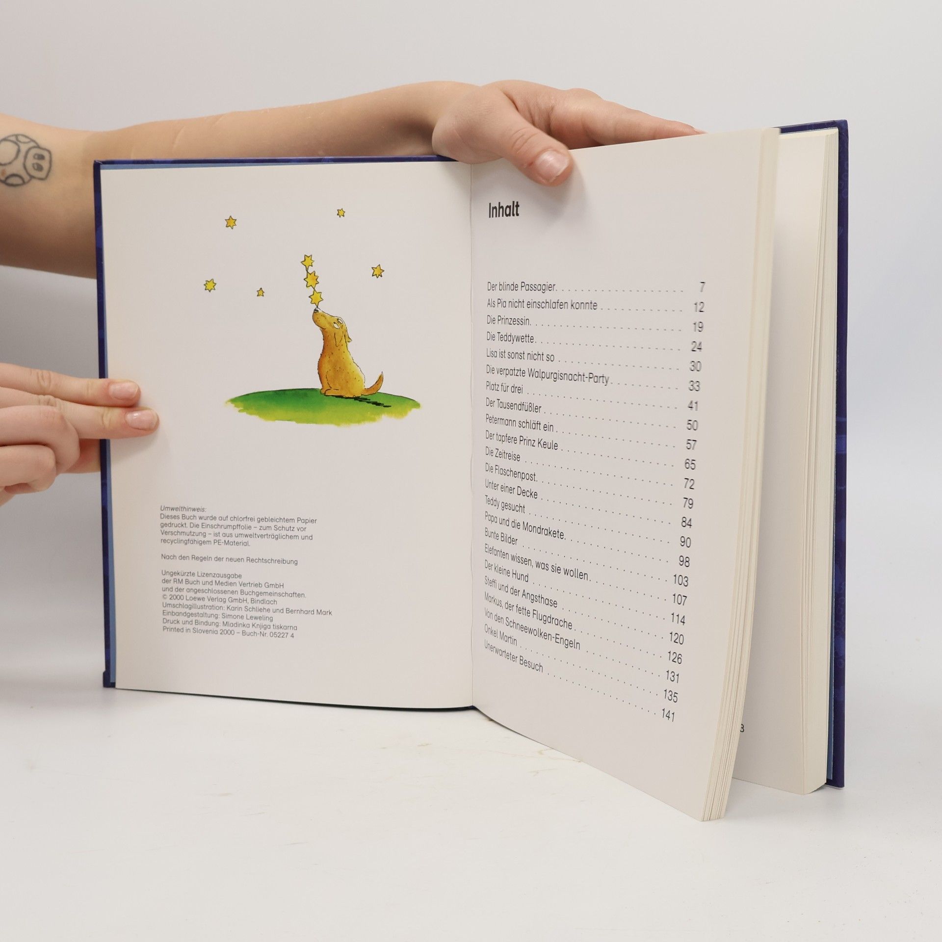 Various authors Die schönsten Leselöwen Gute-Nacht-Geschichten