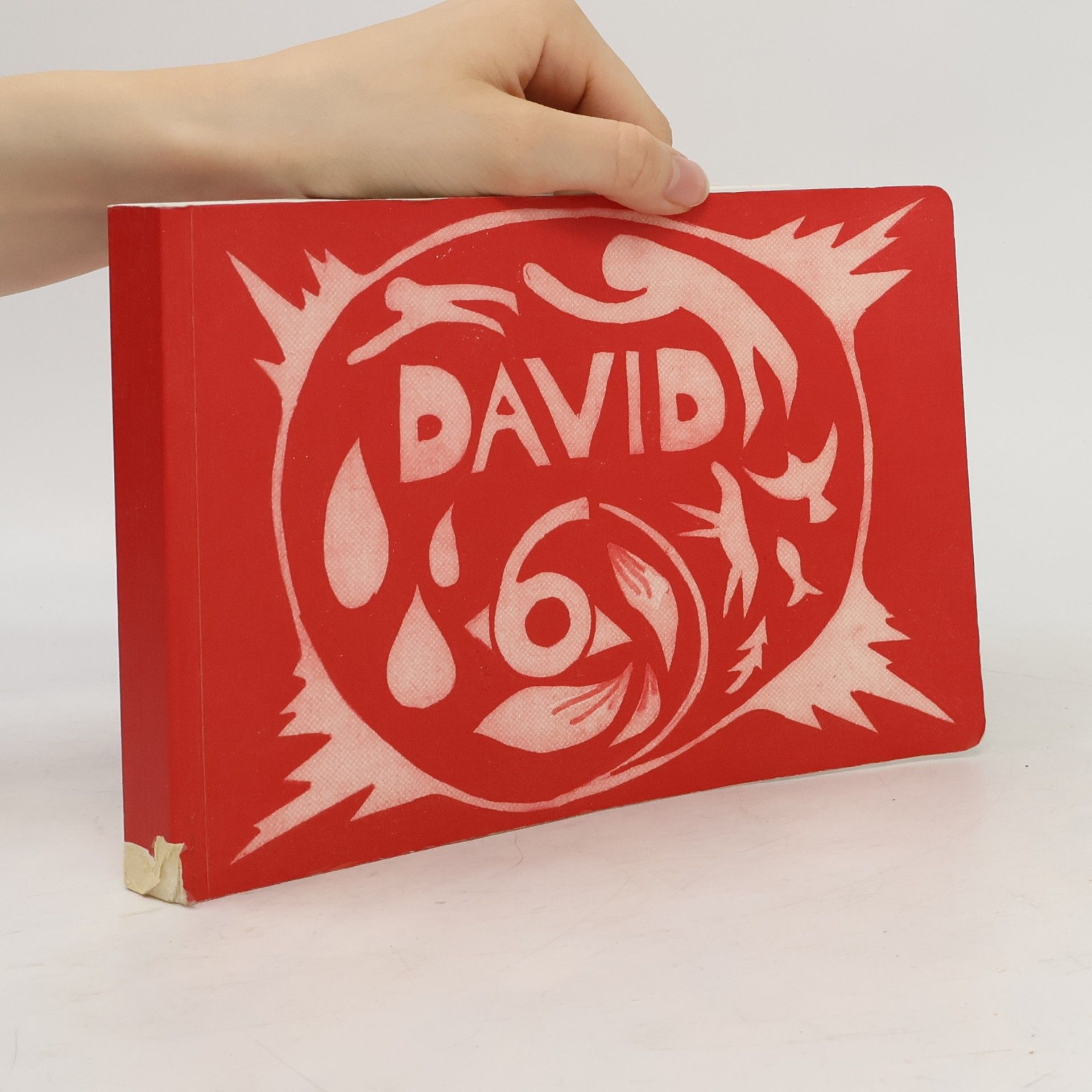 kolektiv David 6