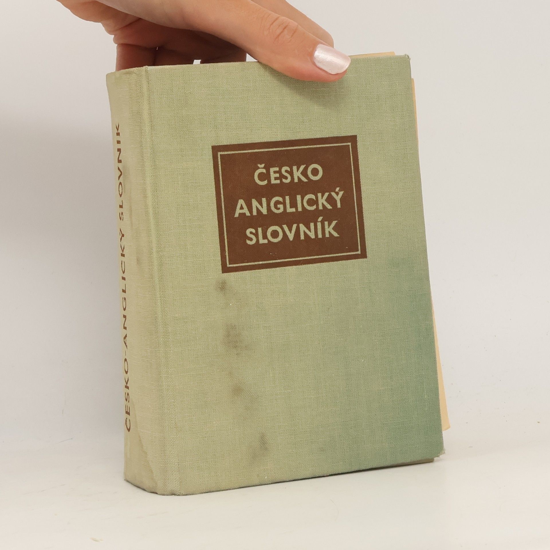 Ivan Poldauf Česko-anglický slovník