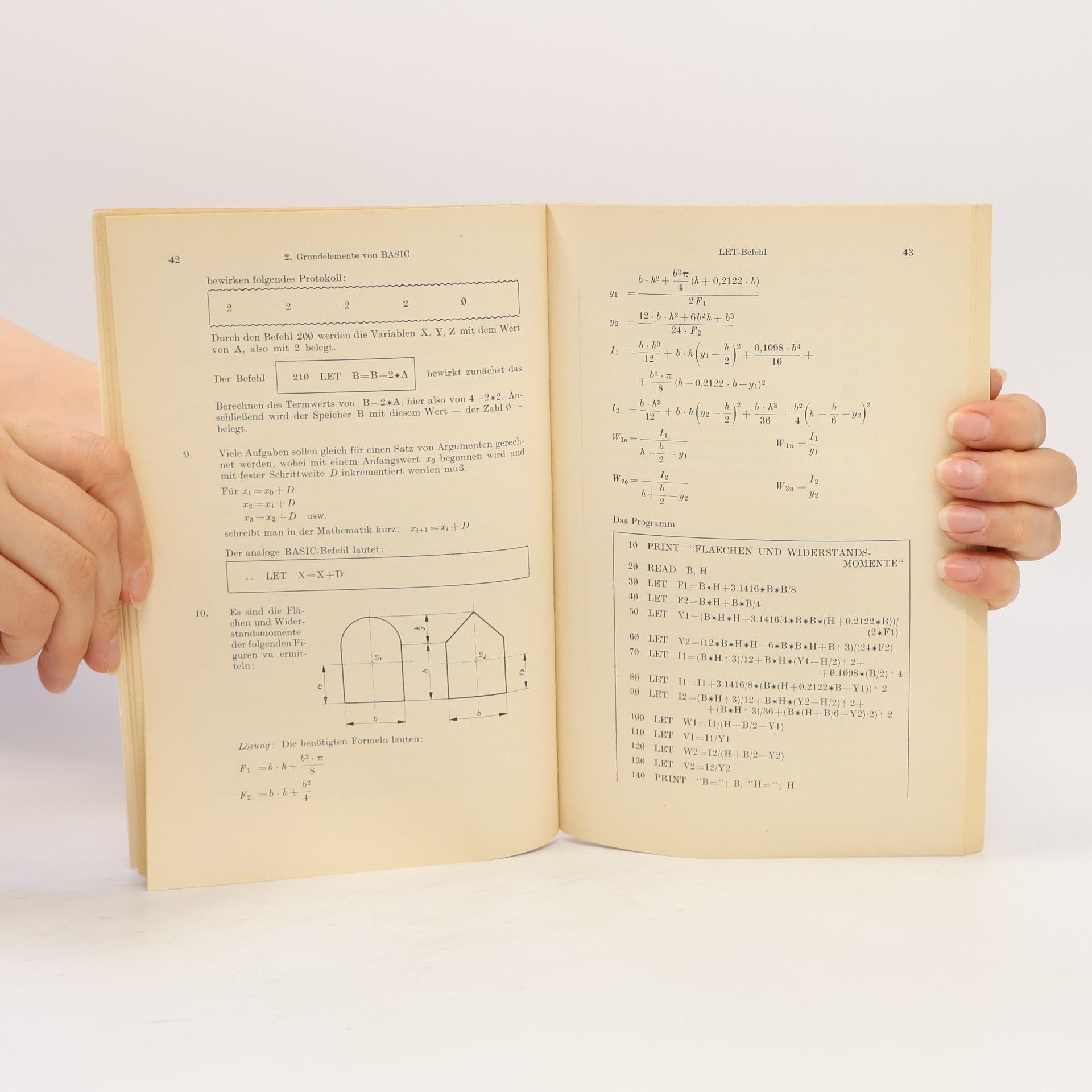 Franz Blaha Programmieren. Licht und Schnell erlernbar