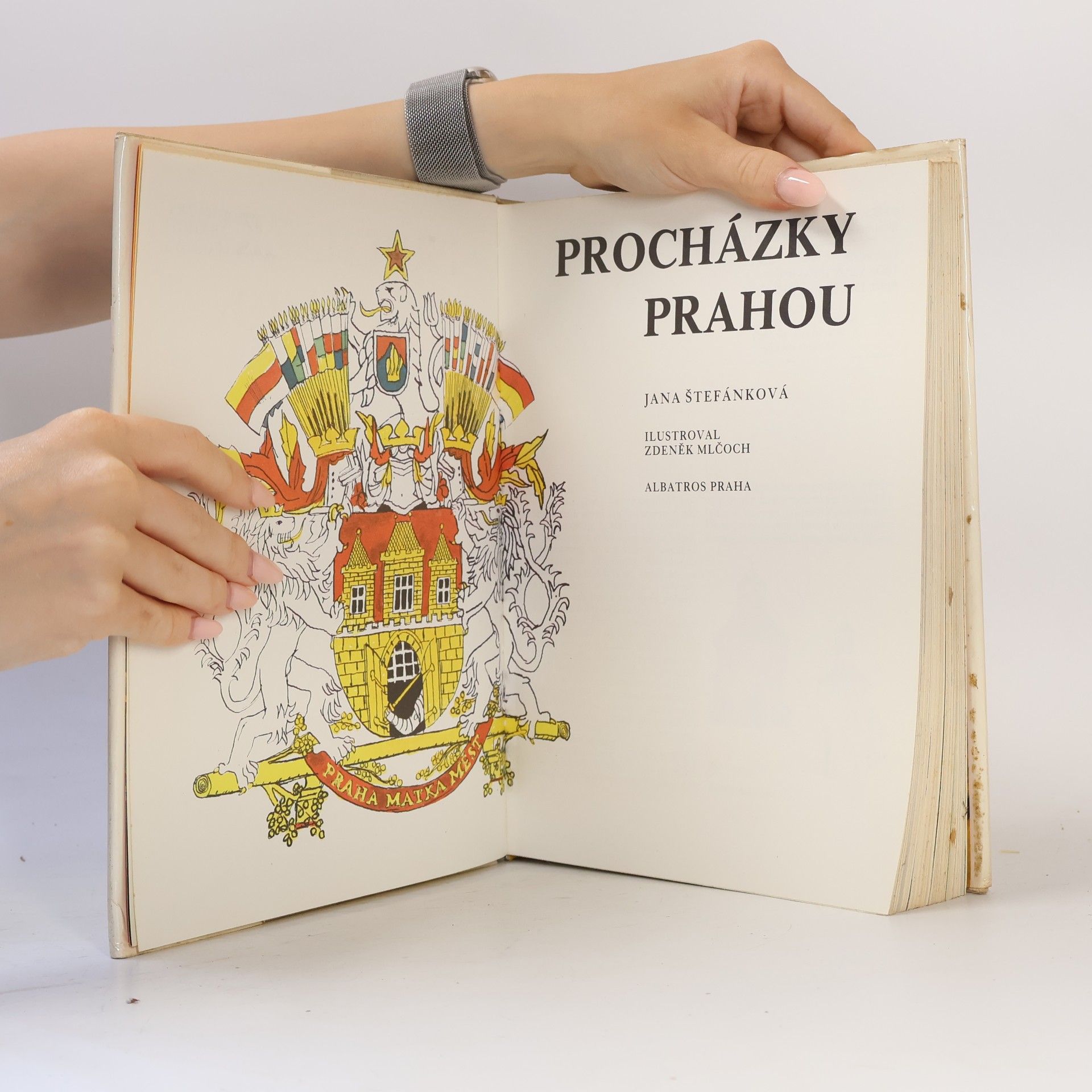 Jana Štefánková Procházky Prahou
