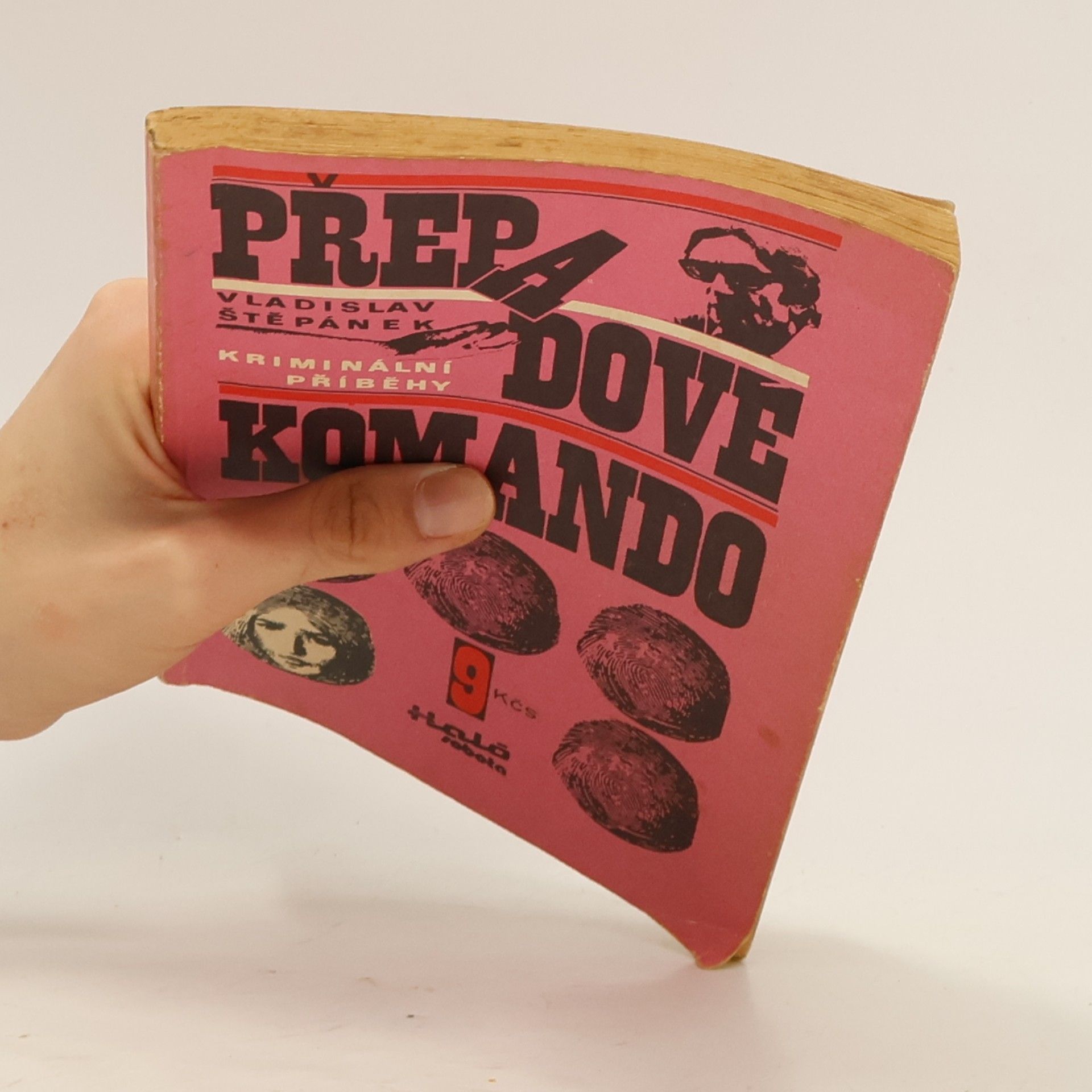 Vladislav Štěpánek Přepadové komando