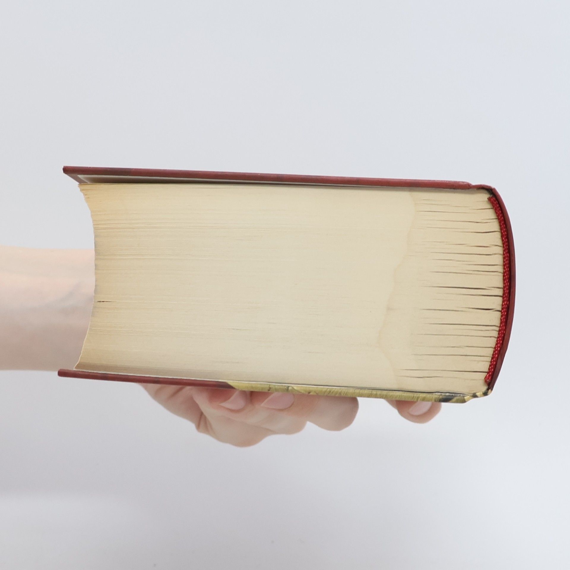 Judith Mathes Tage des Ra