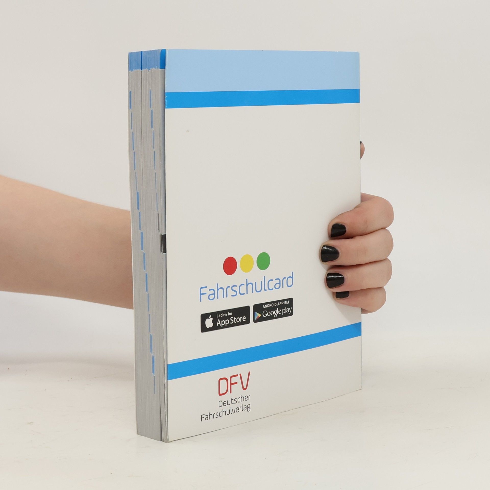 Autorenkollektiv Das große Fahrschulbuch