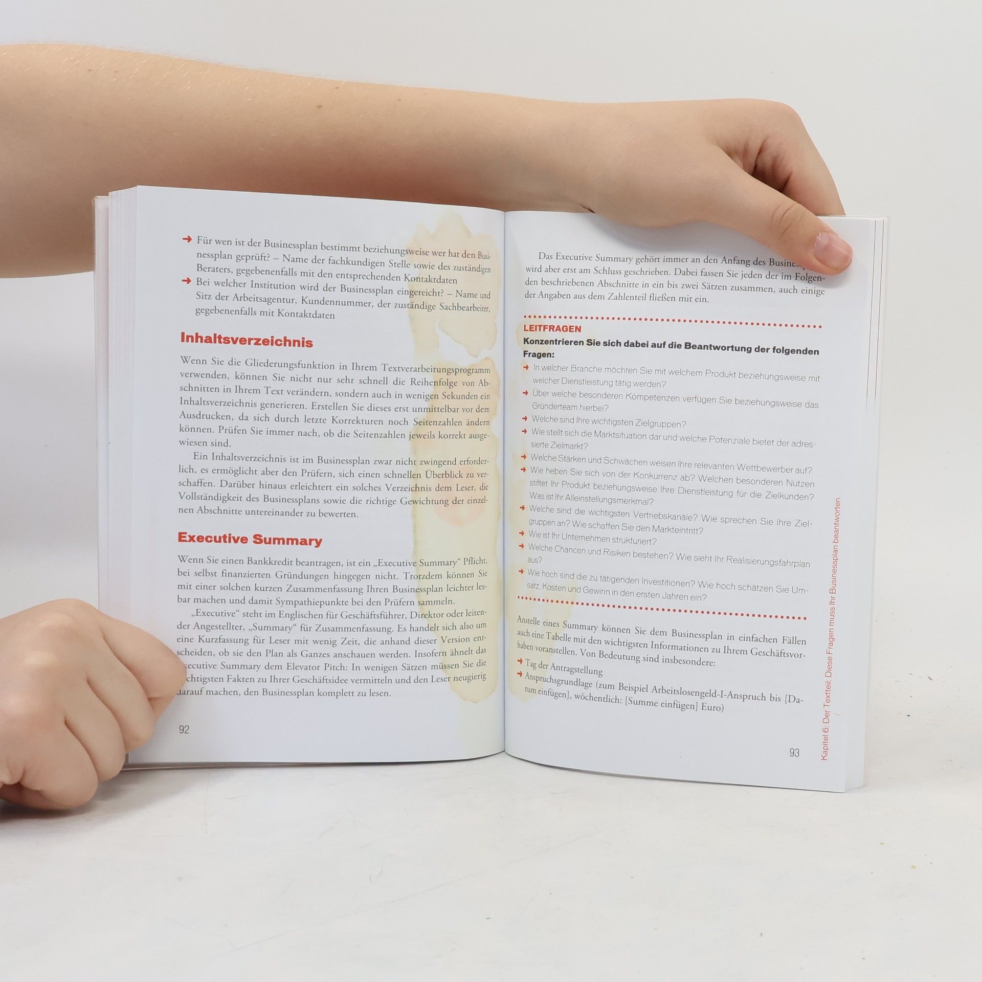 Andreas Lutz Businessplan