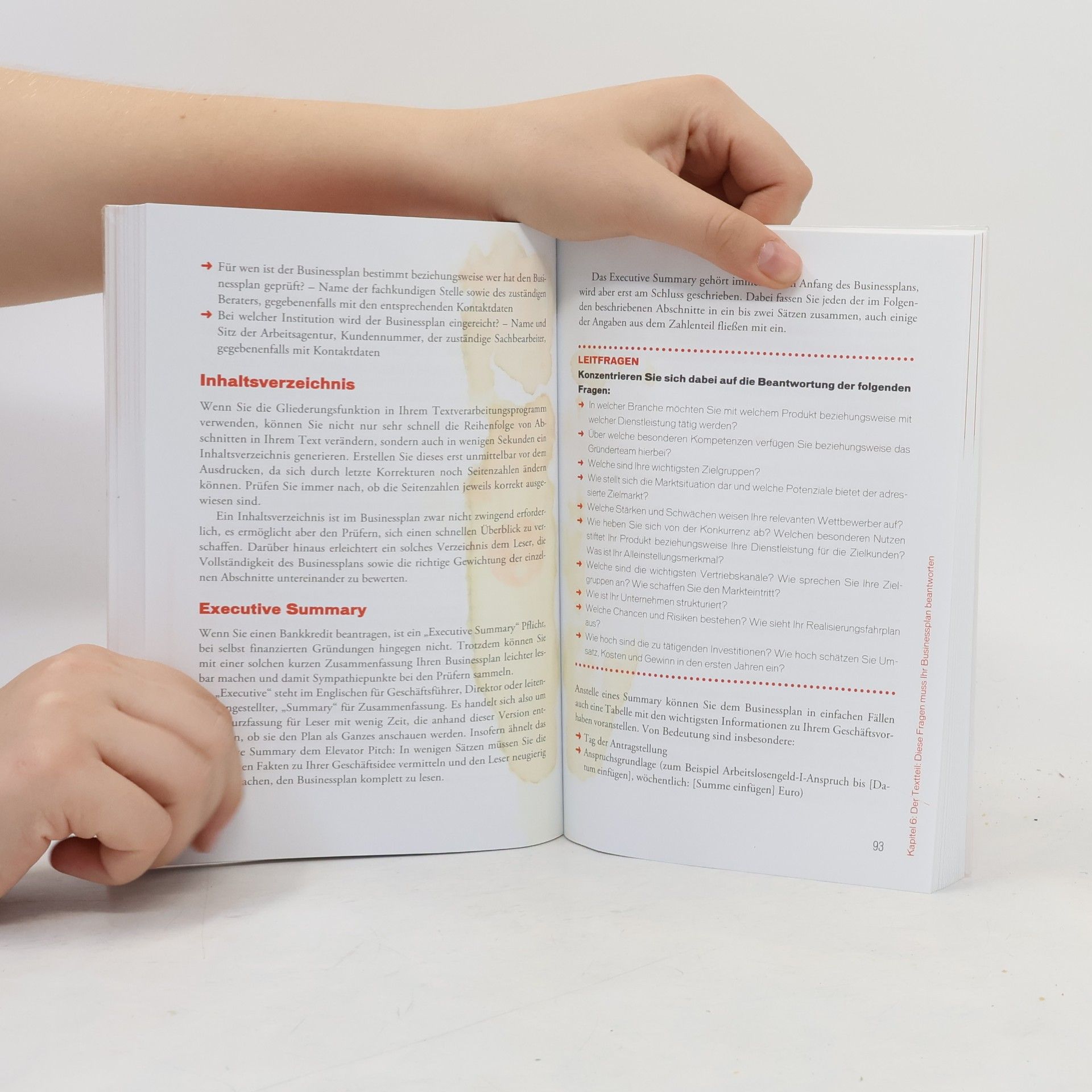 Andreas Lutz Businessplan