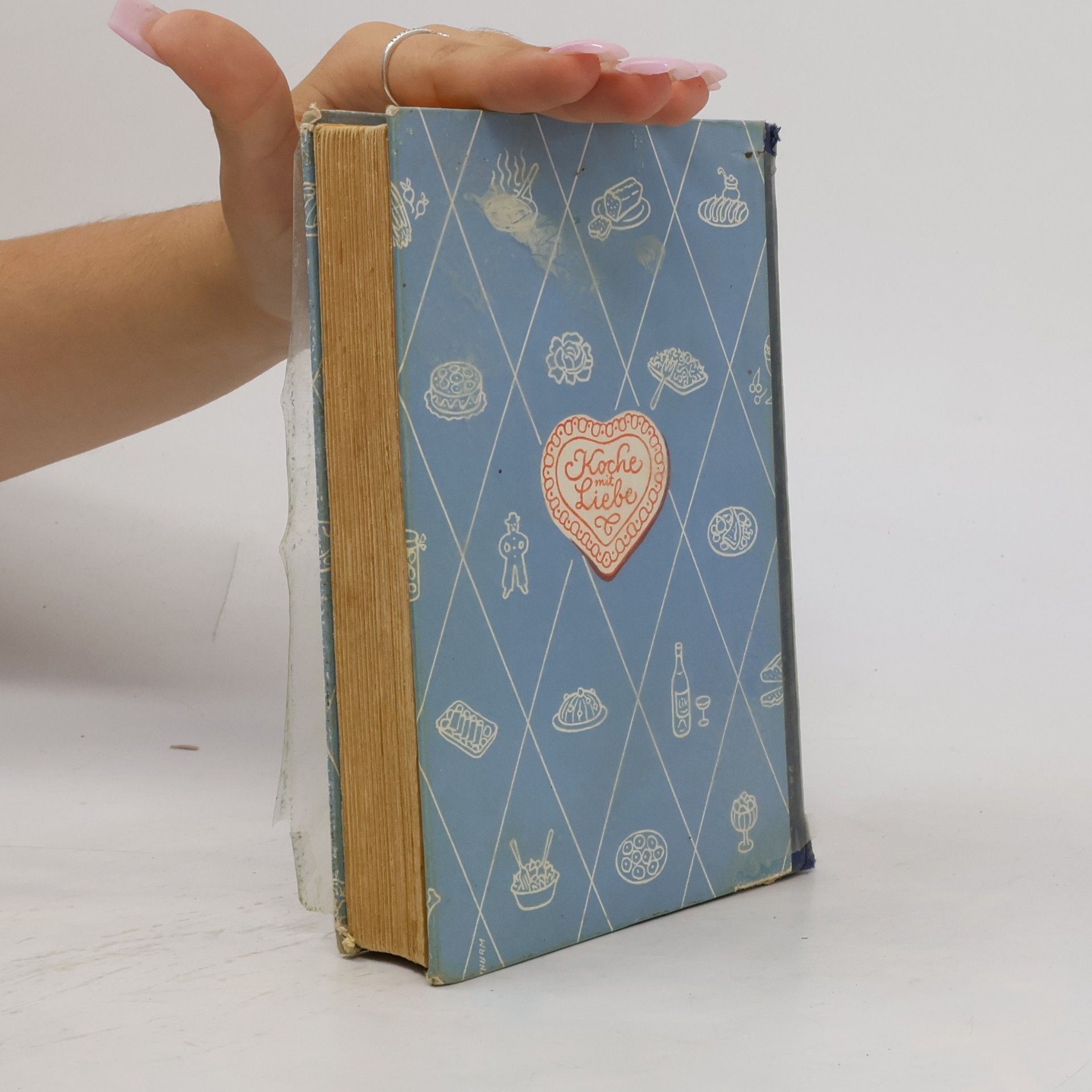 Julie Lutz Kochbuch für jeden Haushalt