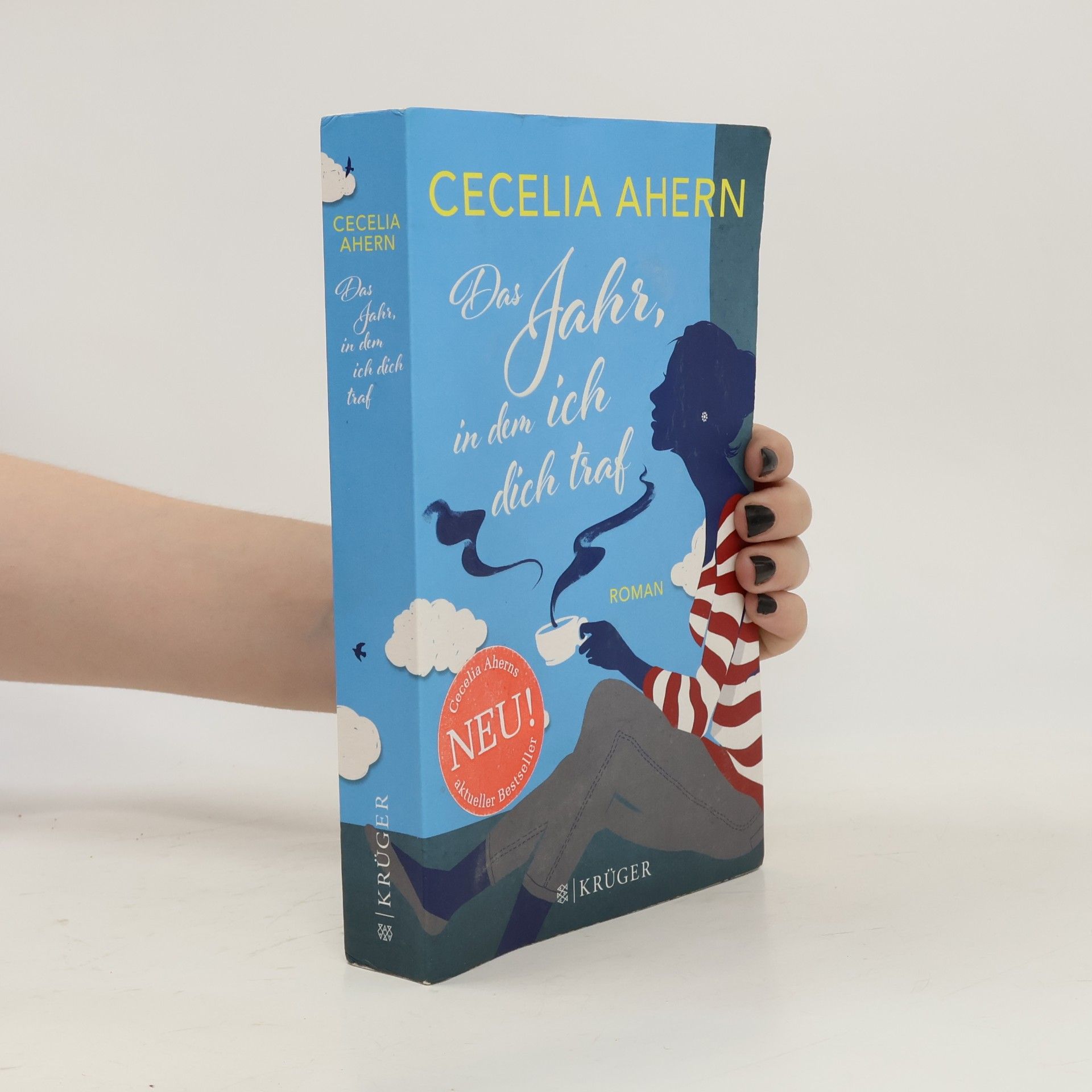 Cecelia Ahern Das Jahr, in dem ich dich traf