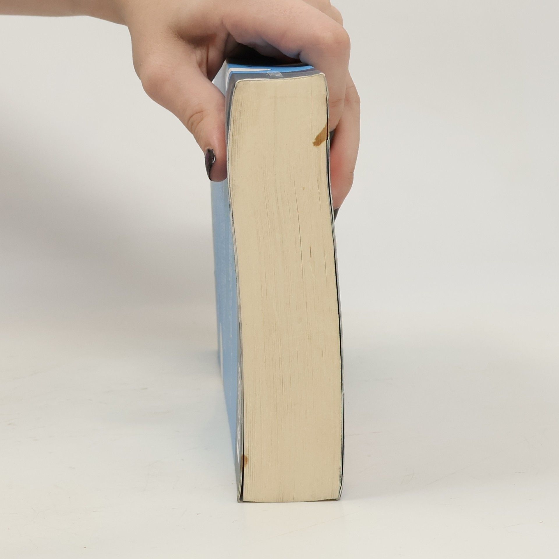 Cecelia Ahern Das Jahr, in dem ich dich traf