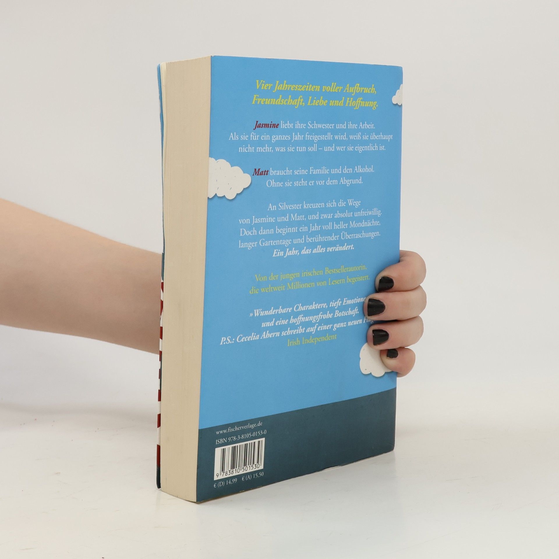 Cecelia Ahern Das Jahr, in dem ich dich traf