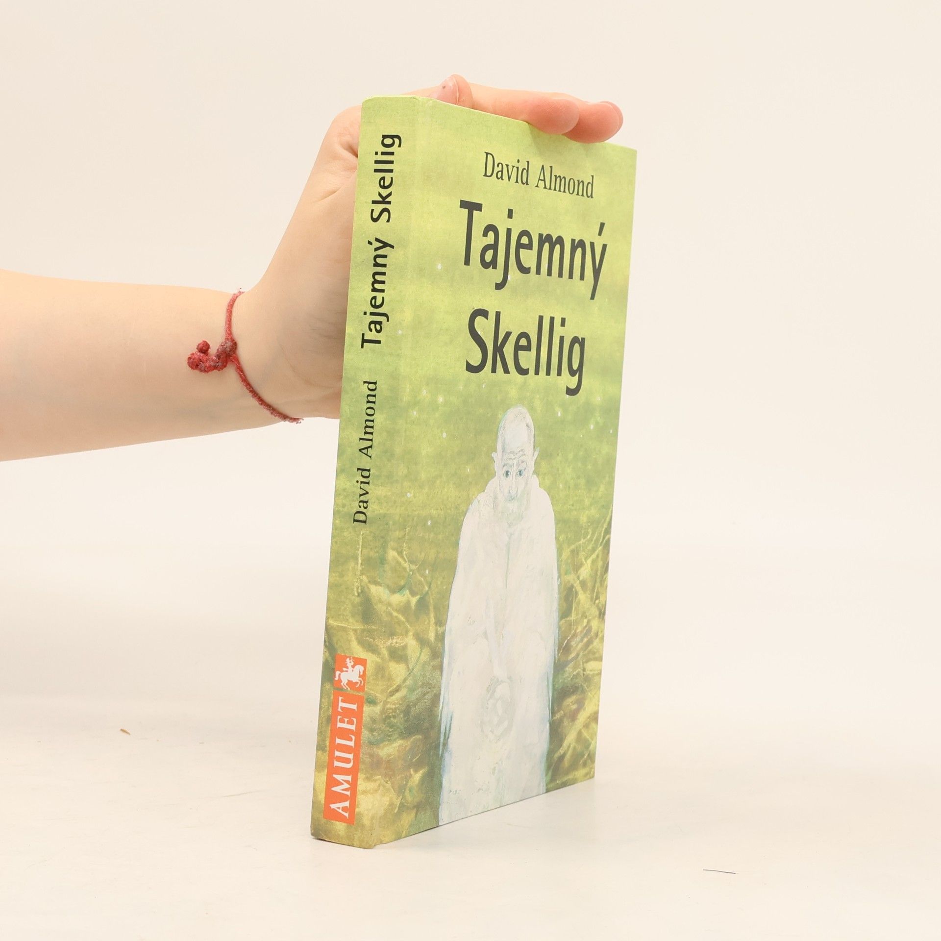 David Almond Tajemný Skellig