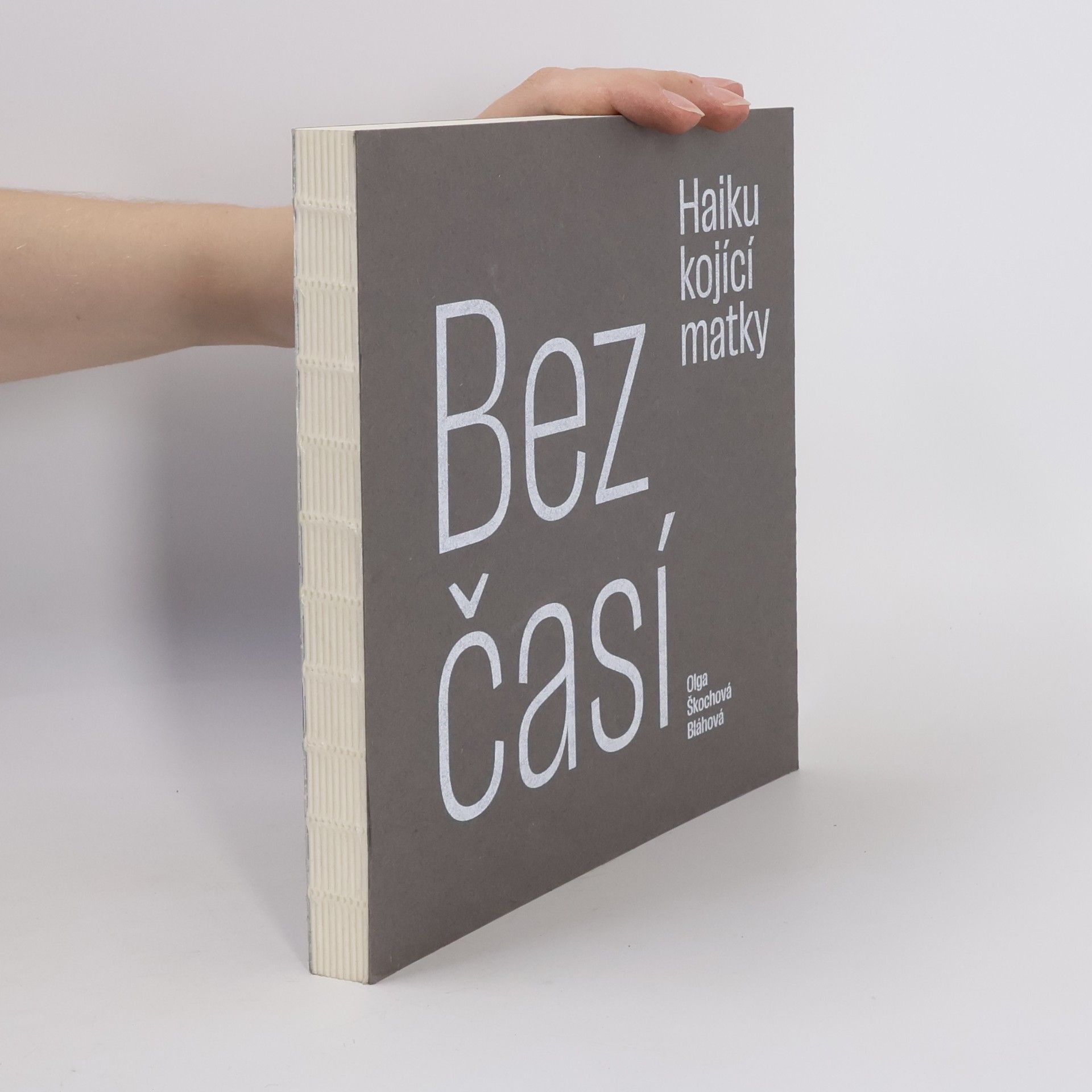 Olga Škochová Bláhová Bezčasí - Haiku kojící matky