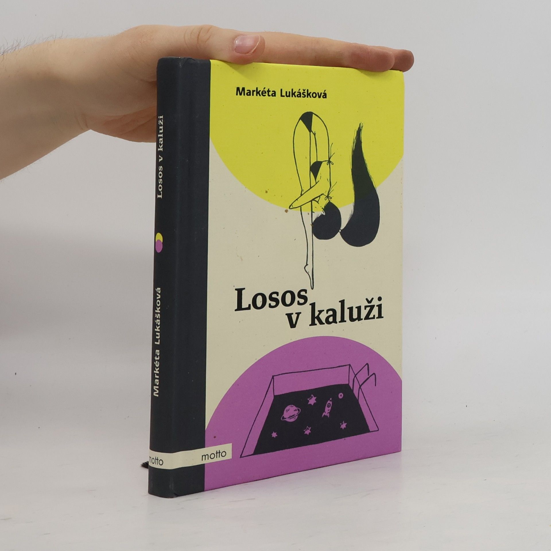 Markéta Lukášková Losos v kaluži