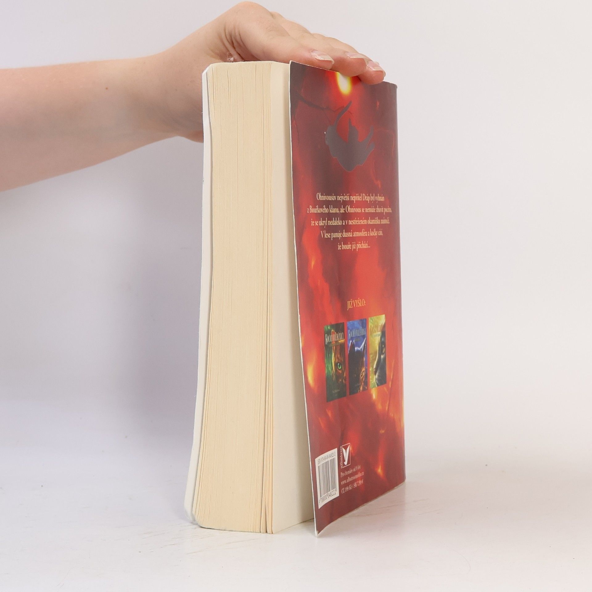 Erin Hunter Bouře přichází. Kočičí válečníci