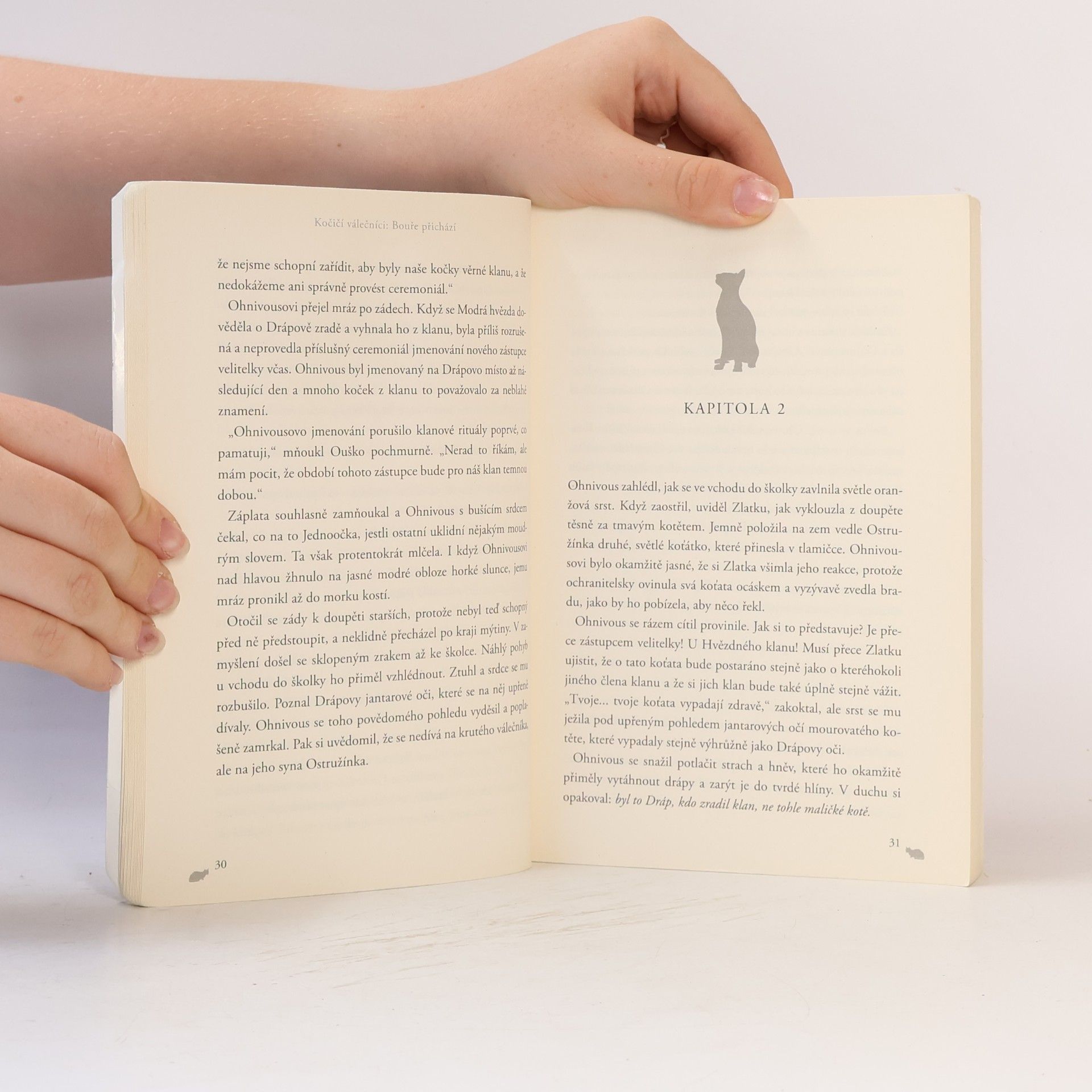 Erin Hunter Bouře přichází. Kočičí válečníci