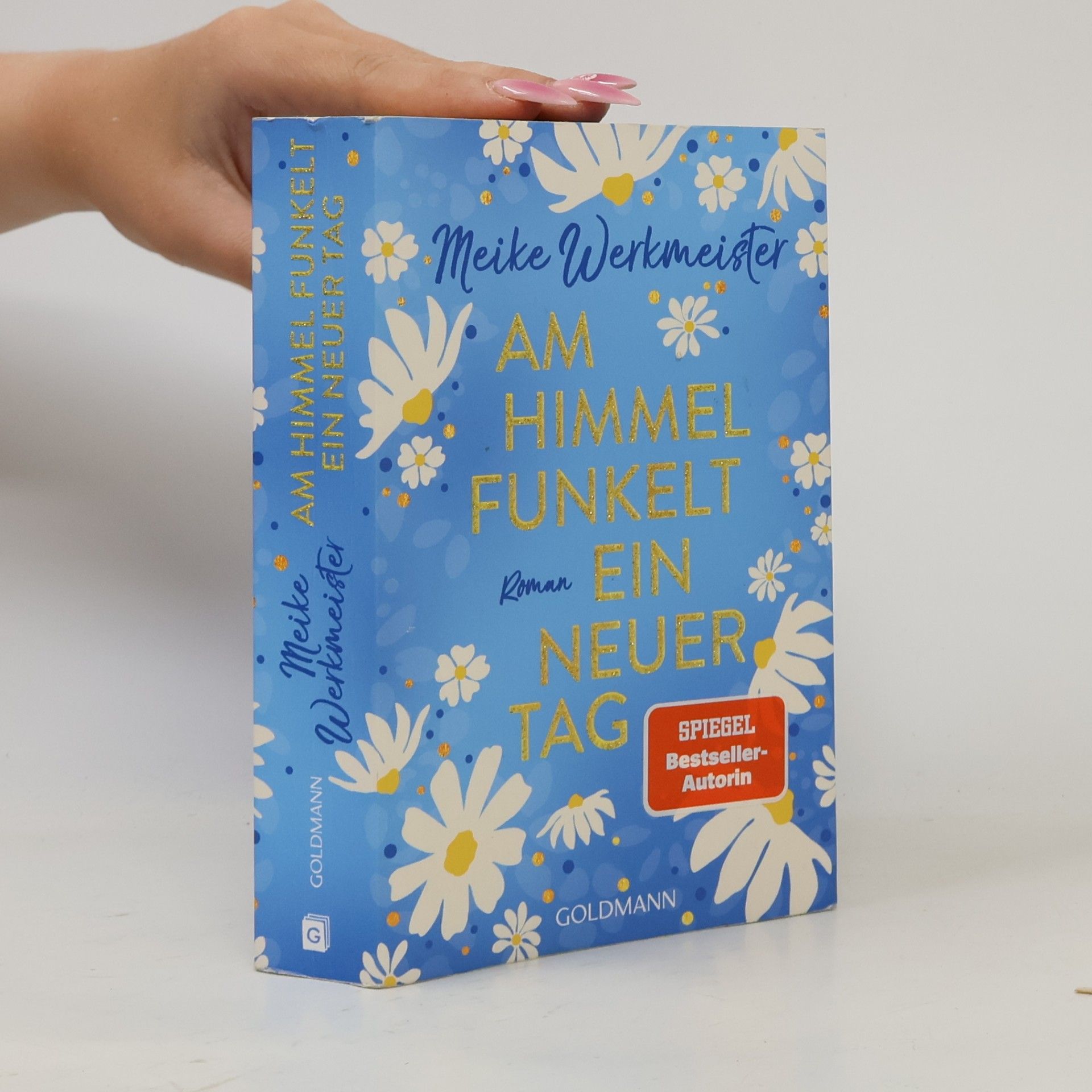 Meike Werkmeister Am Himmel funkelt ein neuer Tag
