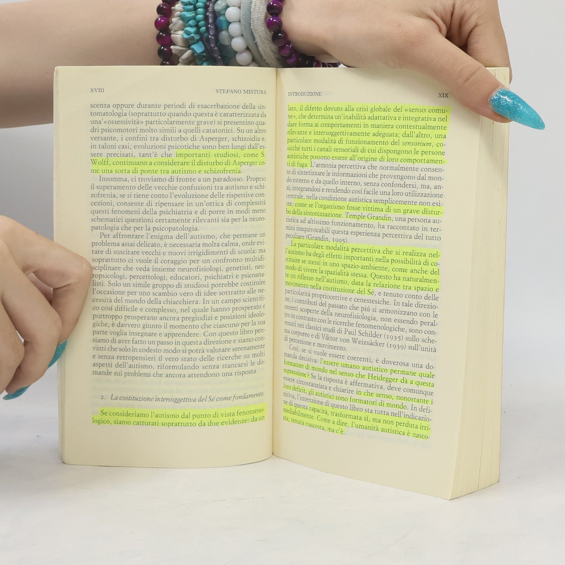 A. Wiesengrund Ballerini Piccola Biblioteca Einaudi - 320: Autismo. L'umanità nascosta